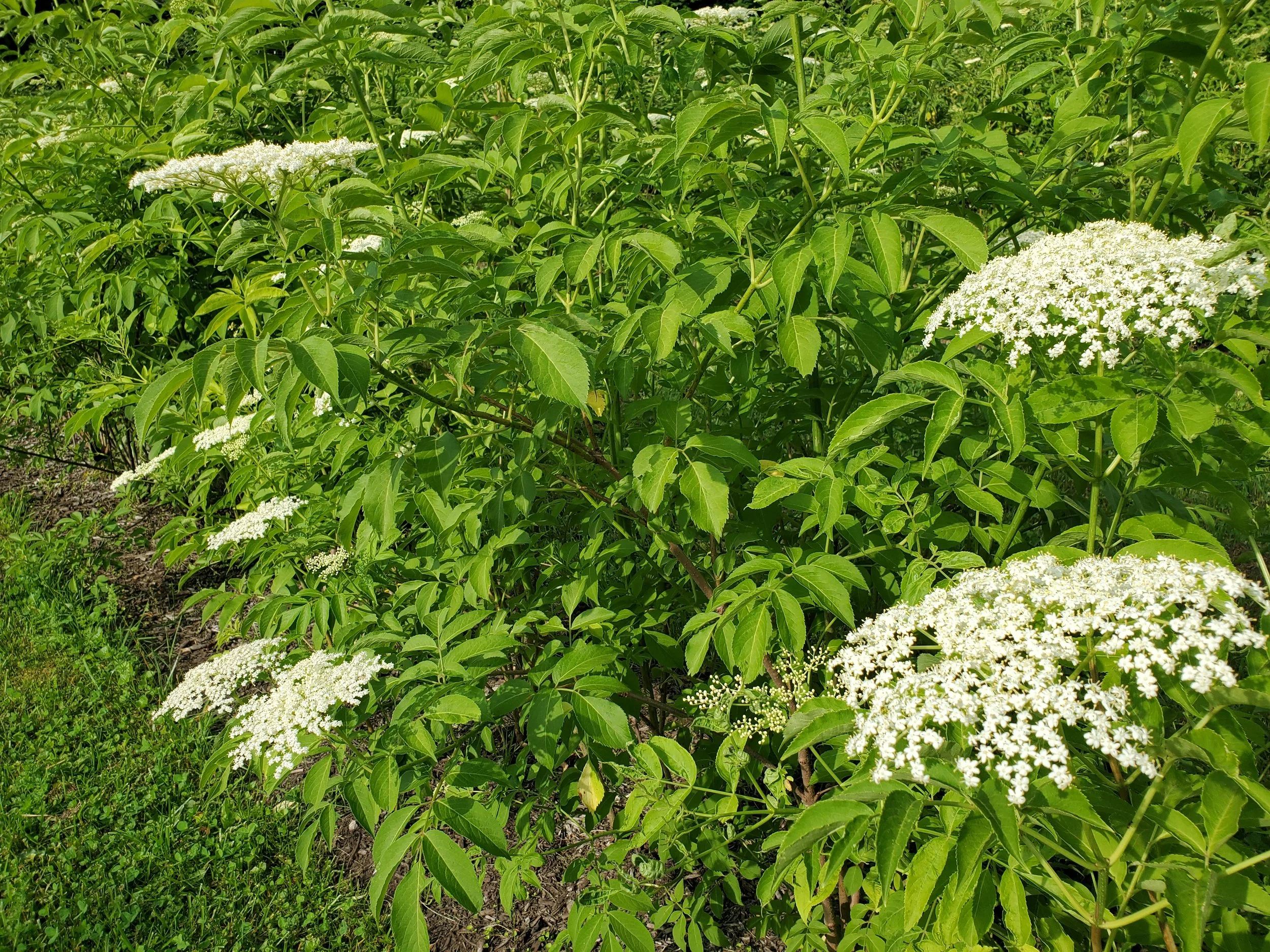 20260606_092621.jpg