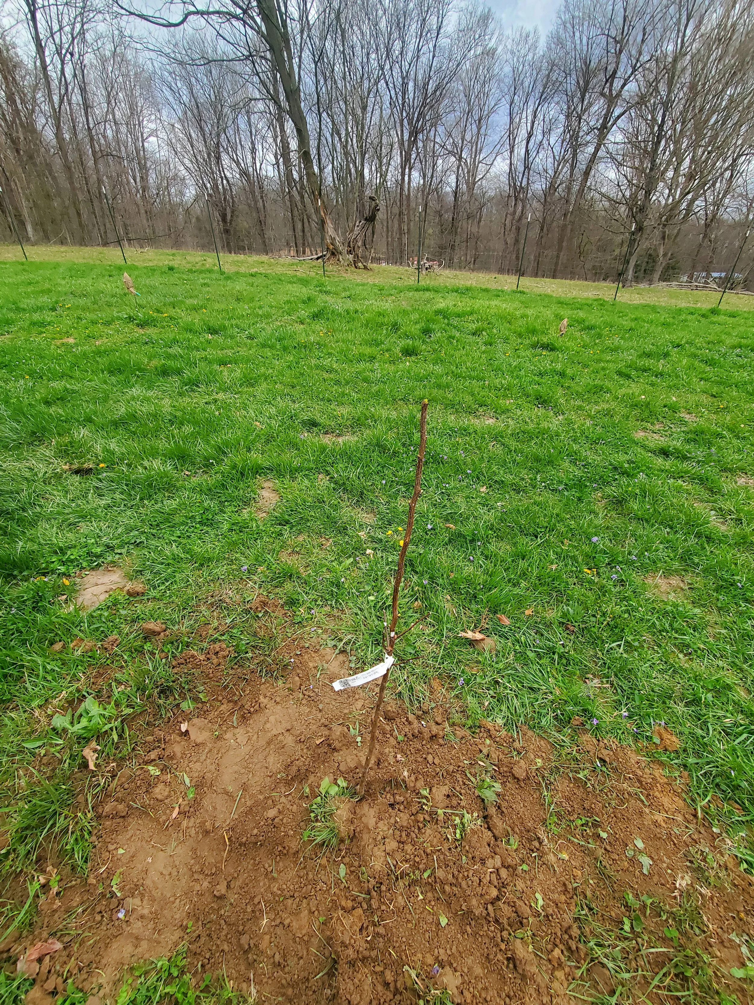 20260402_182610.jpg
