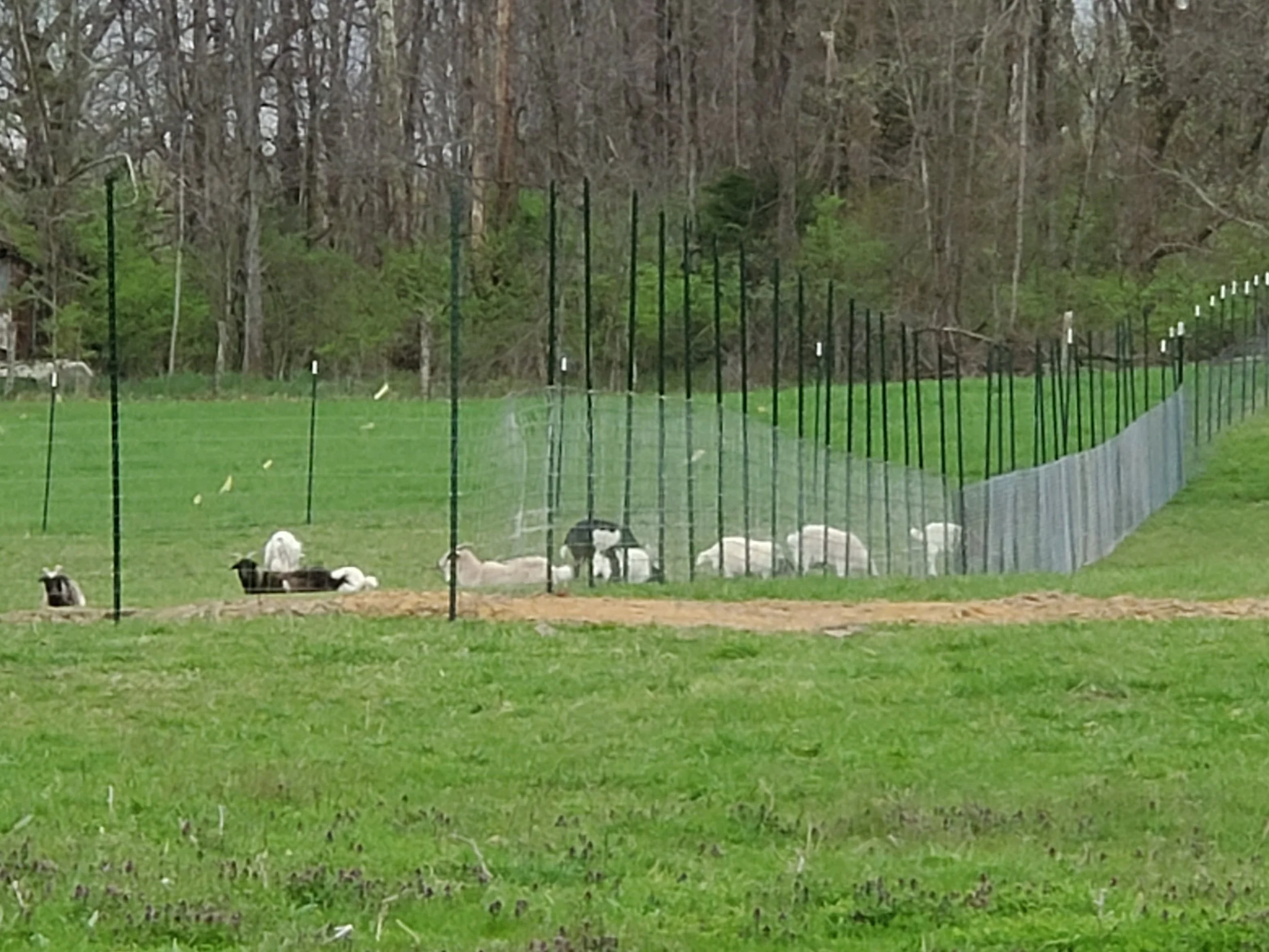 20250414_190500.jpg
