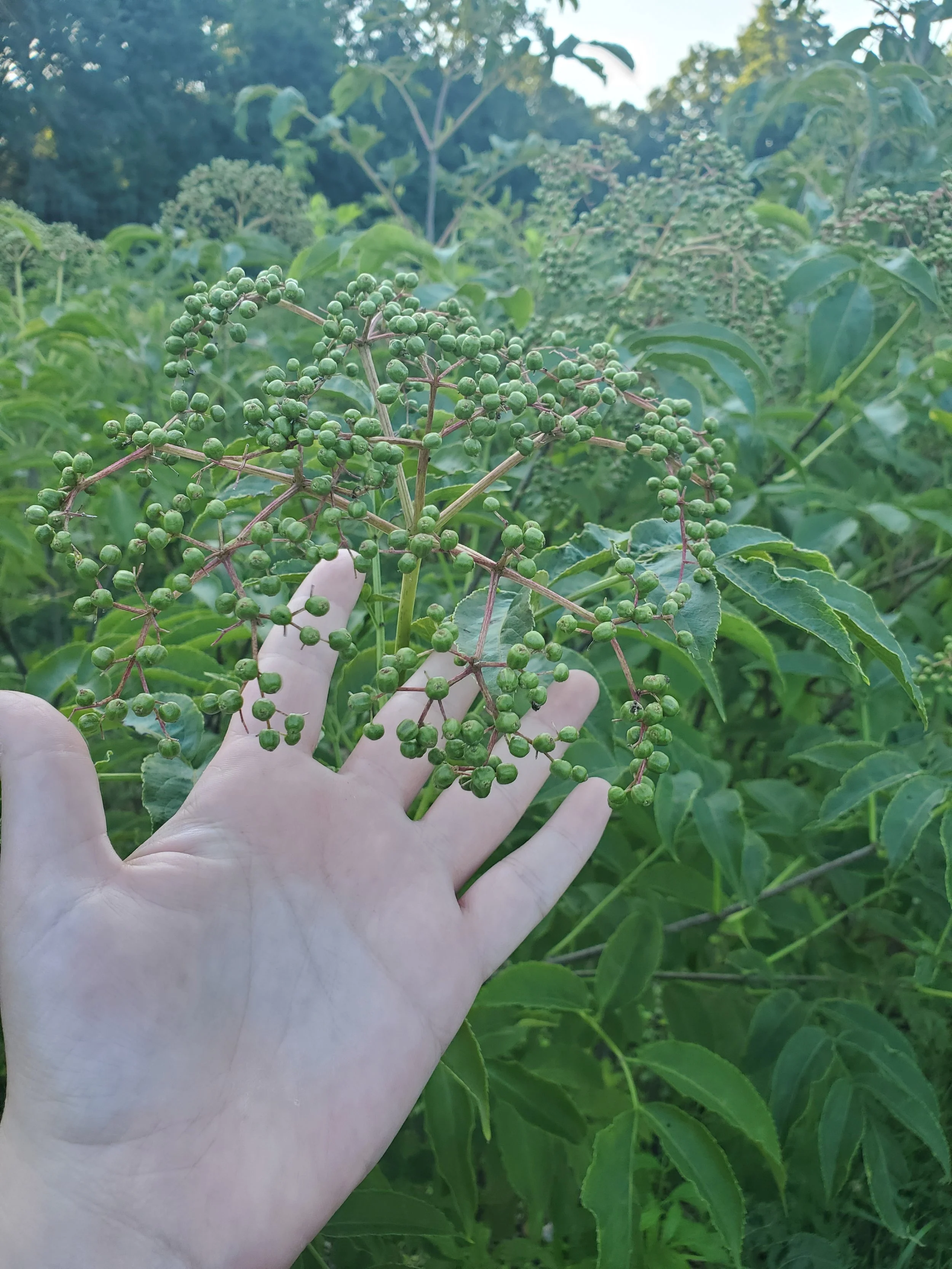 20260713_194144.jpg
