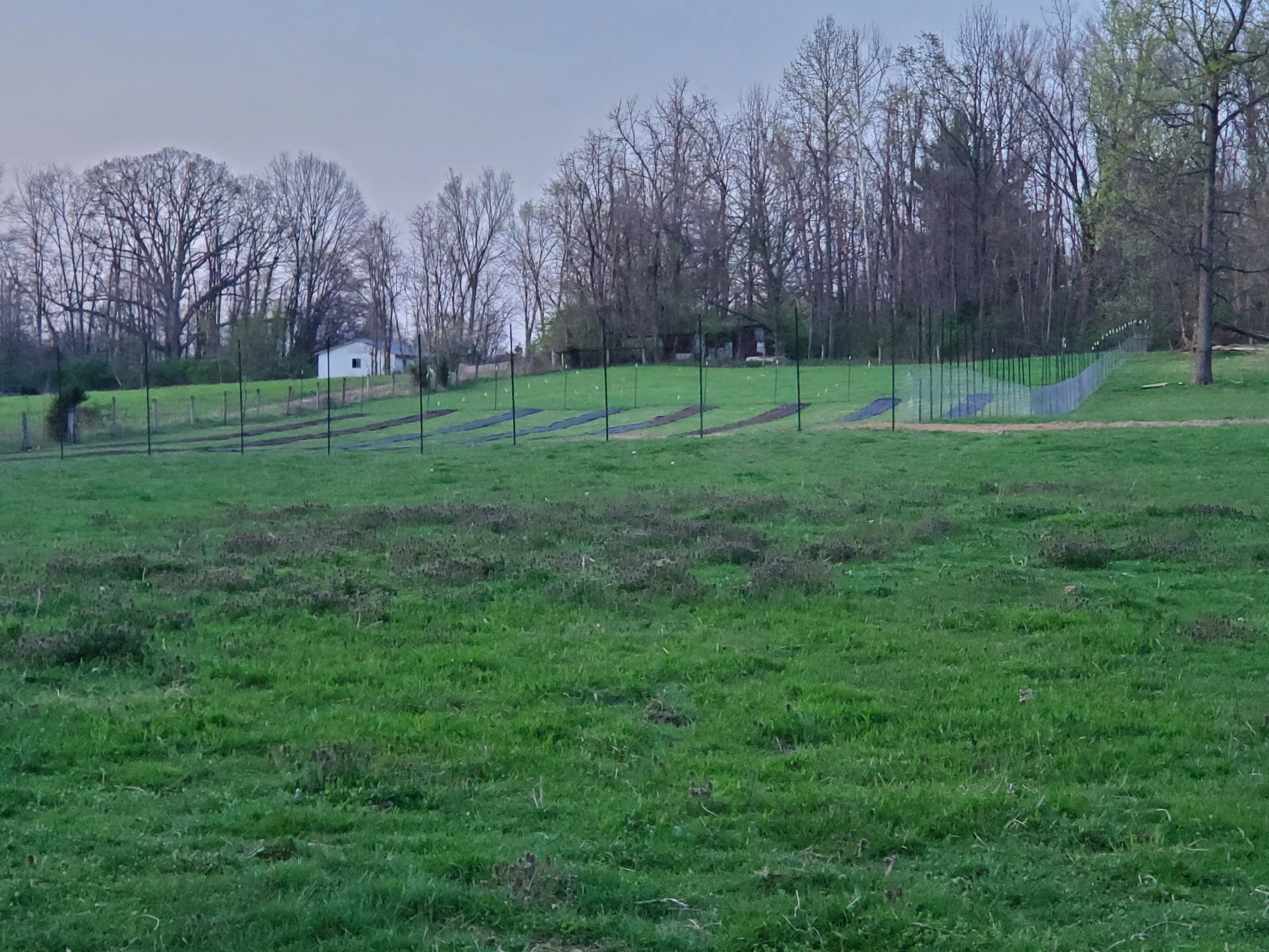 20250418_065552.jpg