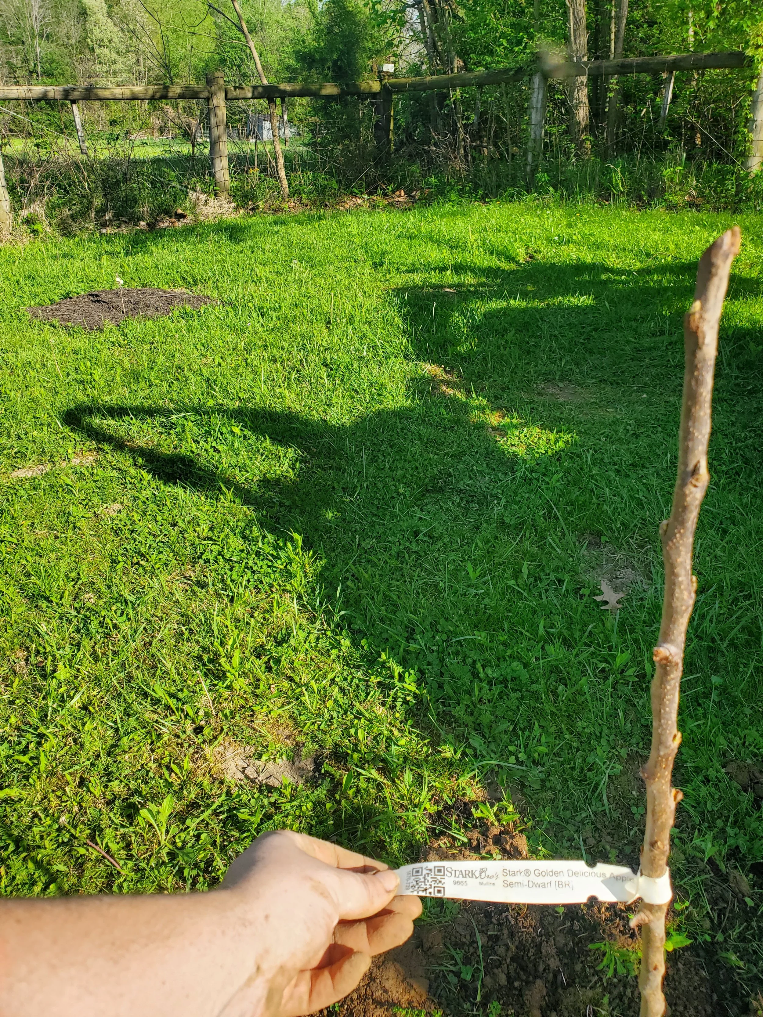 20260423_175010.jpg