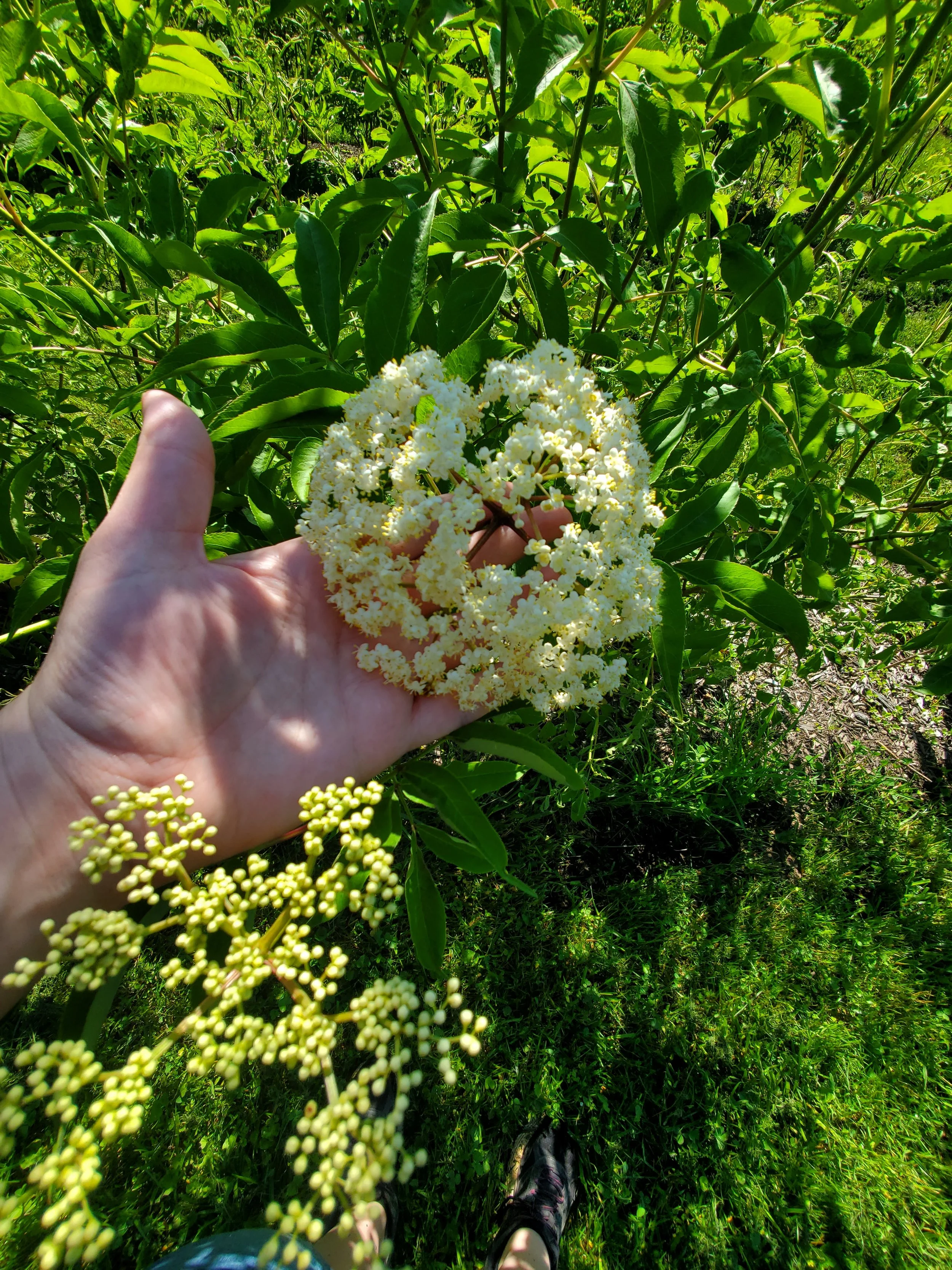 20260602_100639.jpg