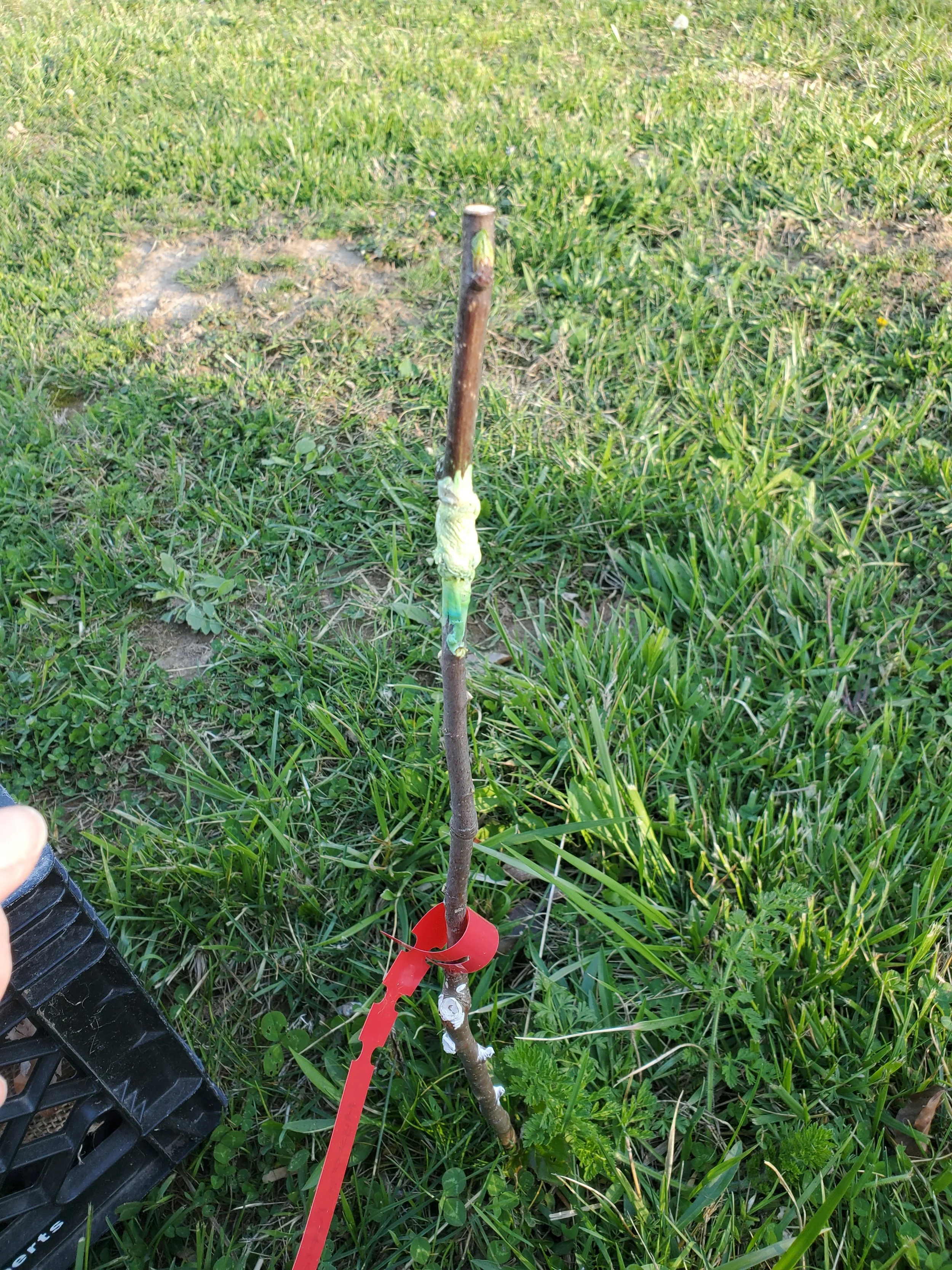 20260408_183915.jpg