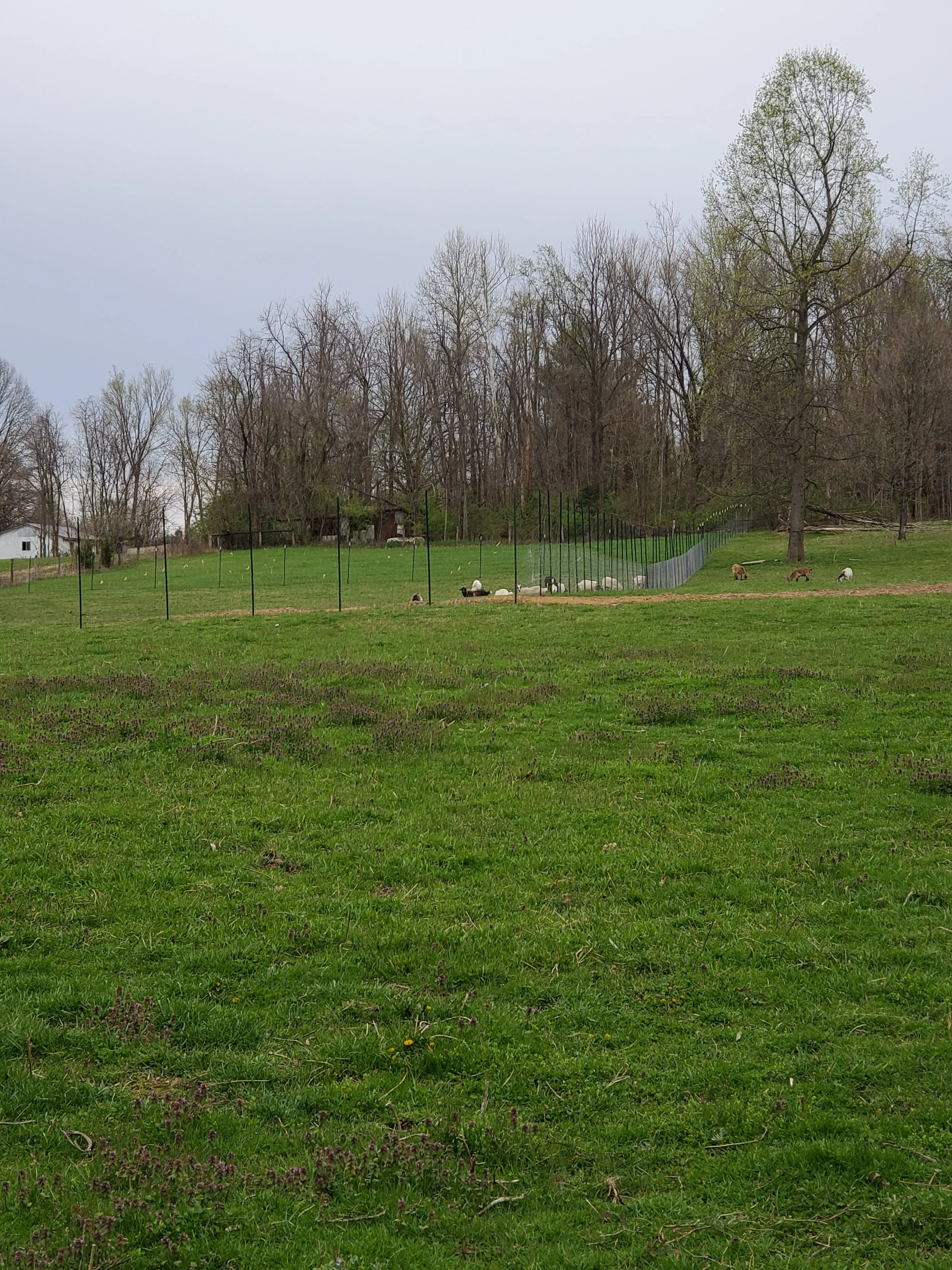 20250414_190451.jpg