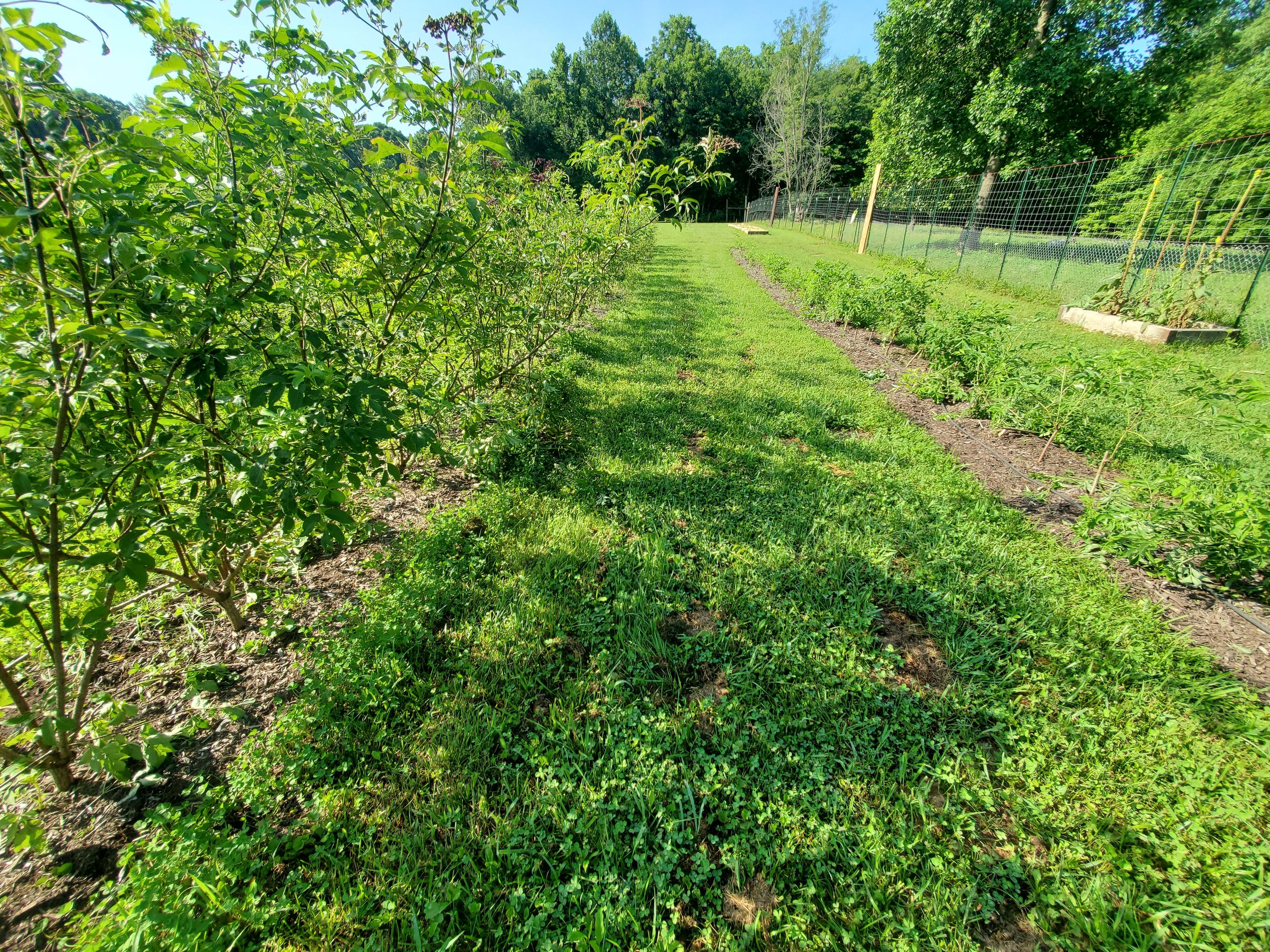 20260716_093439.jpg