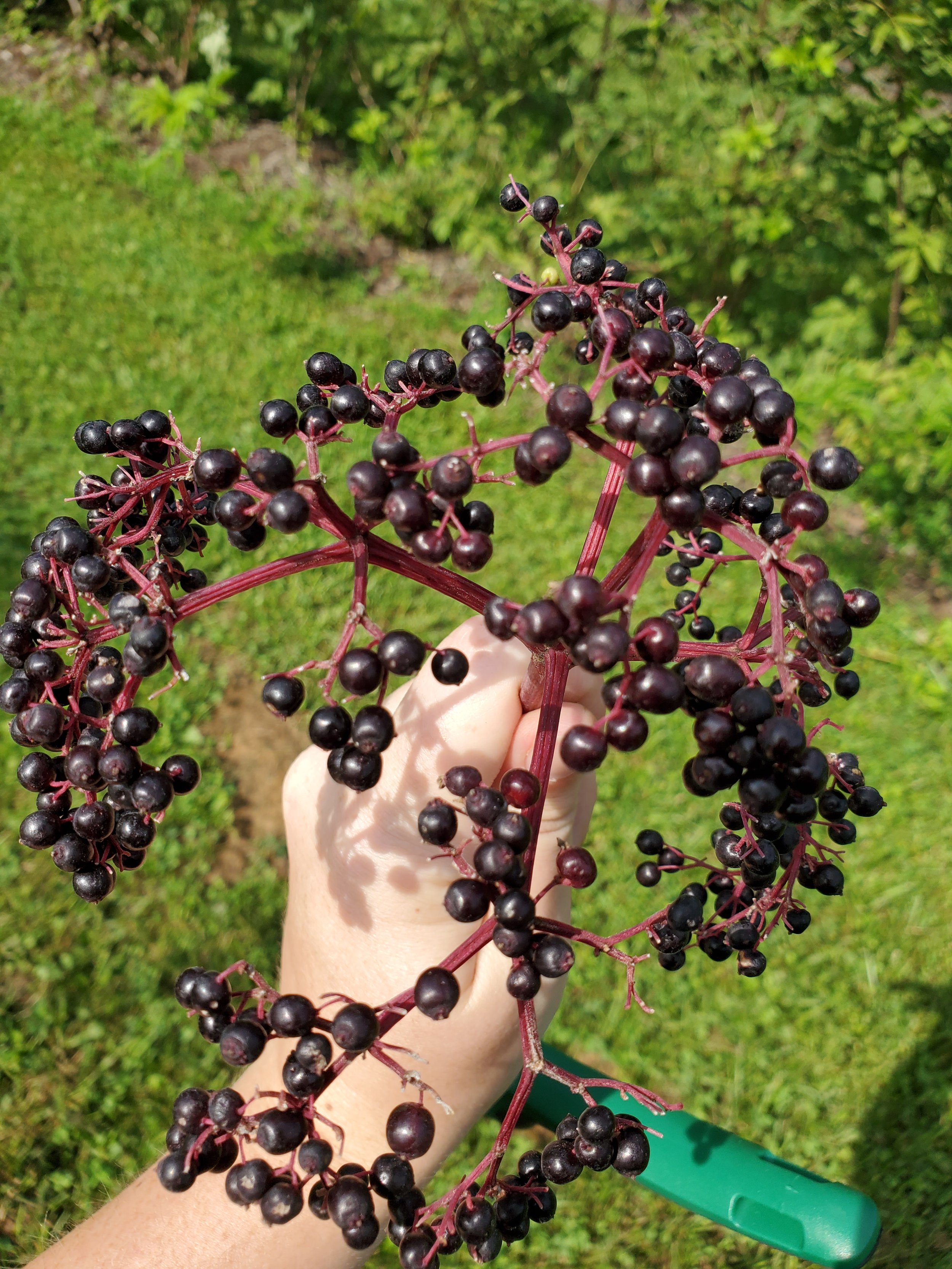20260722_103046.jpg