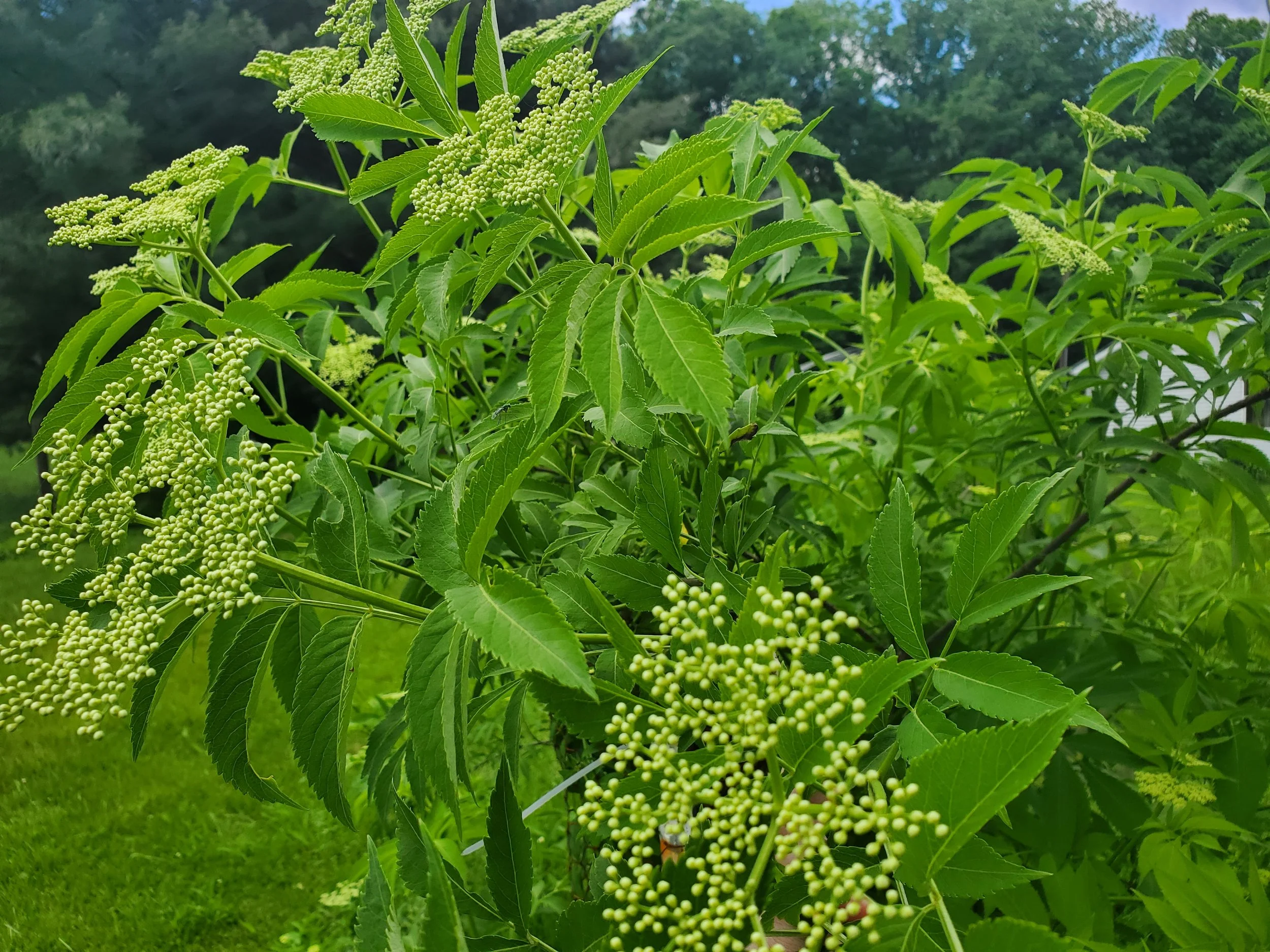 20250517_125820.jpg