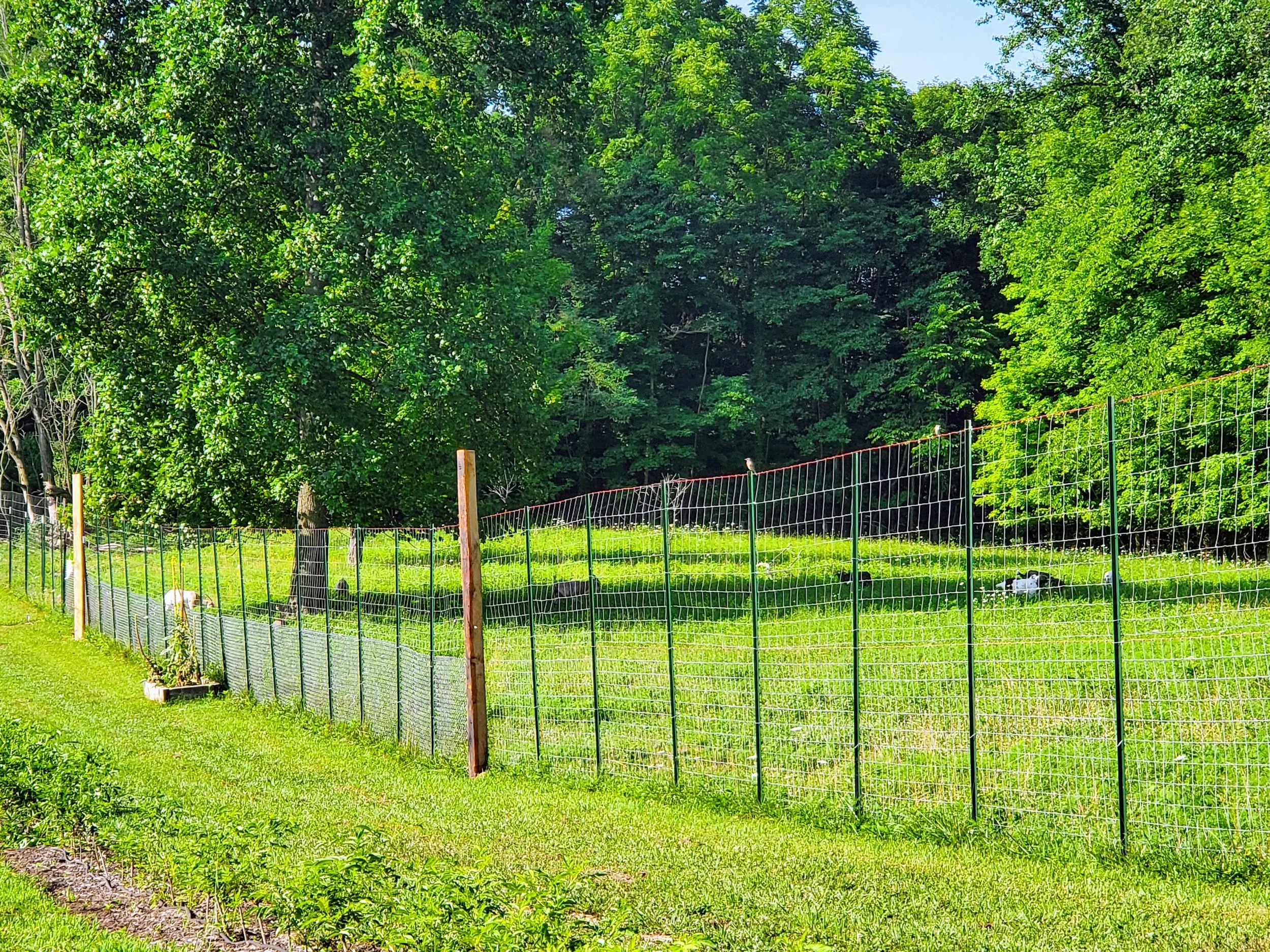 The Fencing Project