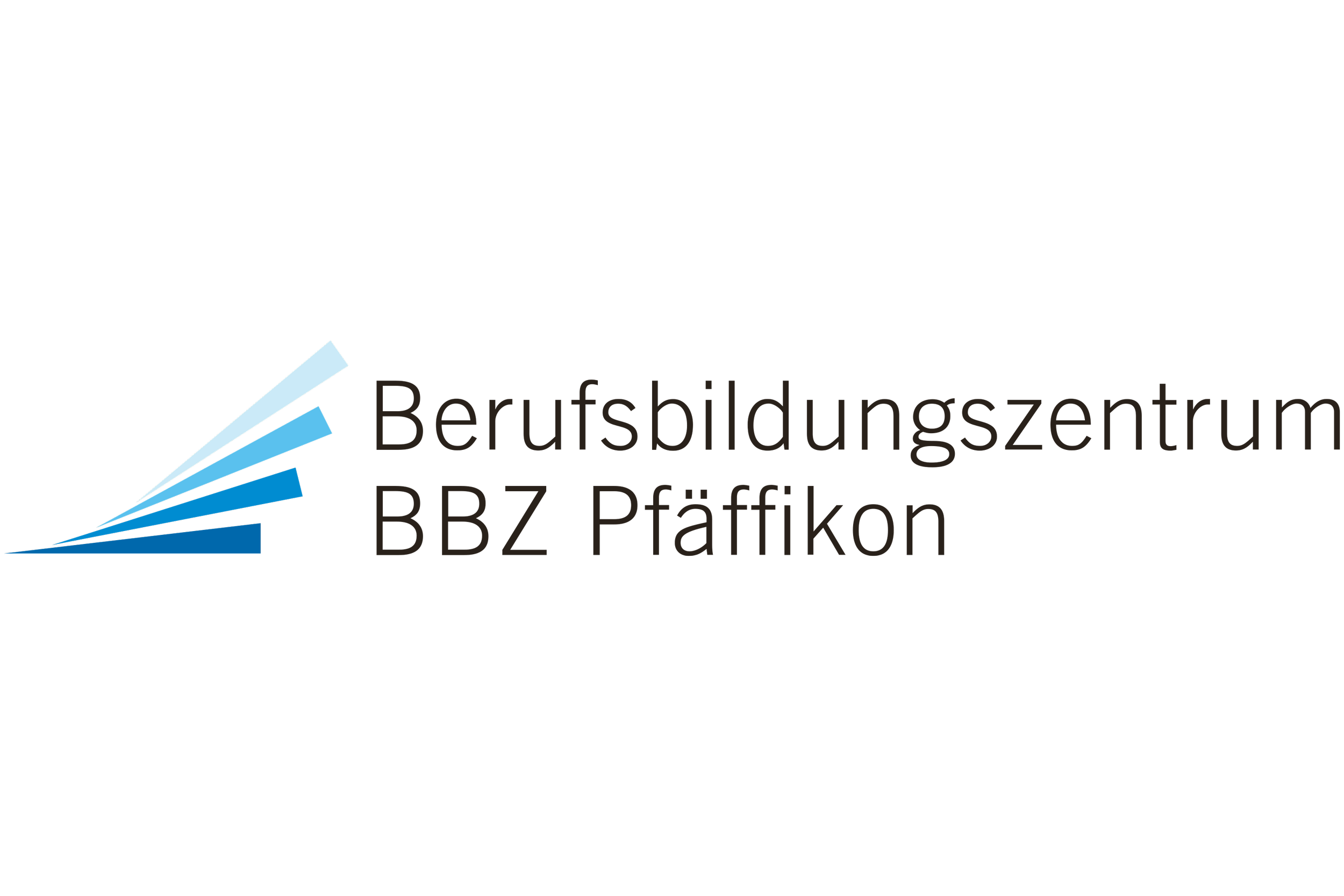 Logo des Beruflichen Bildungszentrums Braunschweig Pfaffenkamp mit blauen und weißen Büchern, die eine aufsteigende Linie bilden.