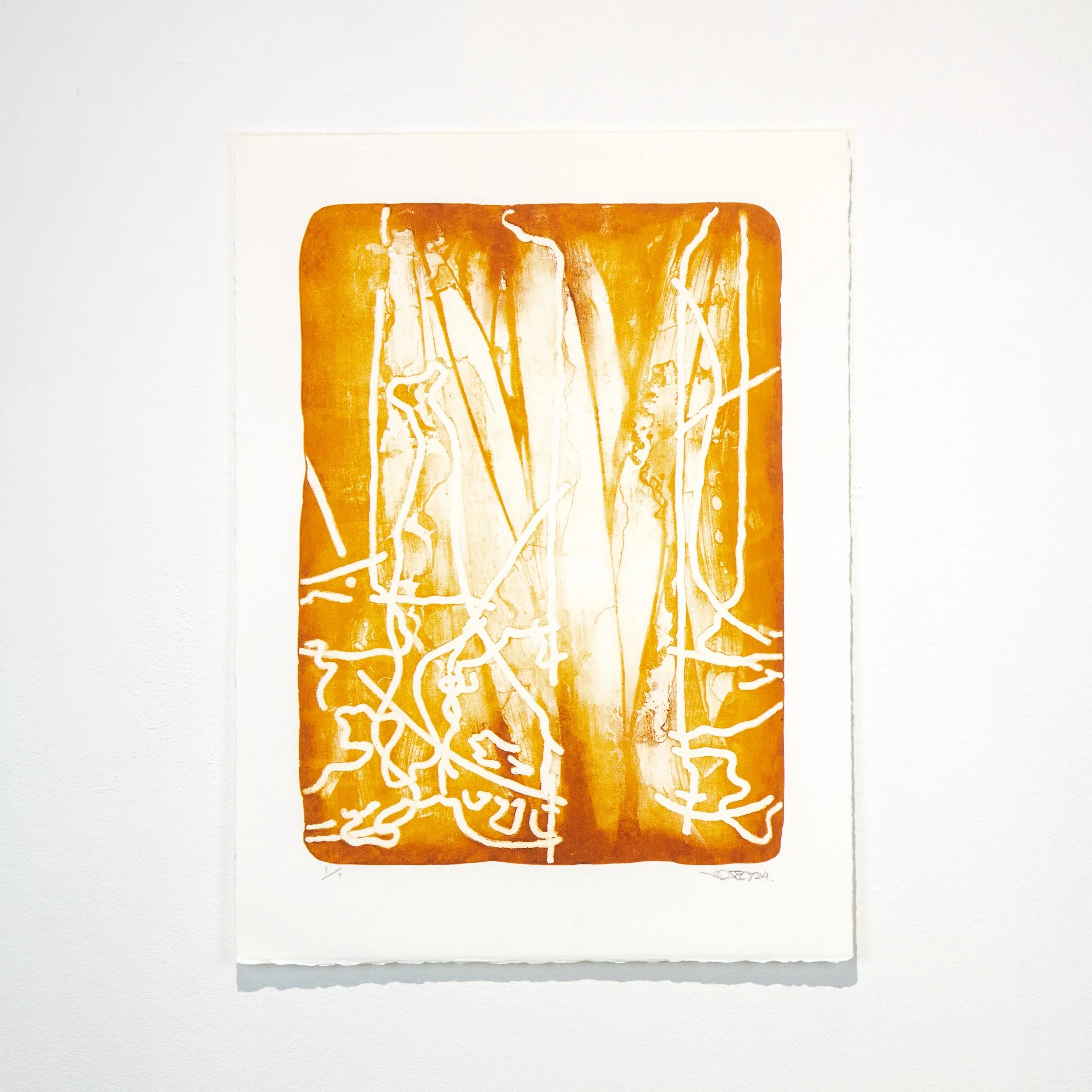 Garage Litho 29.jpeg