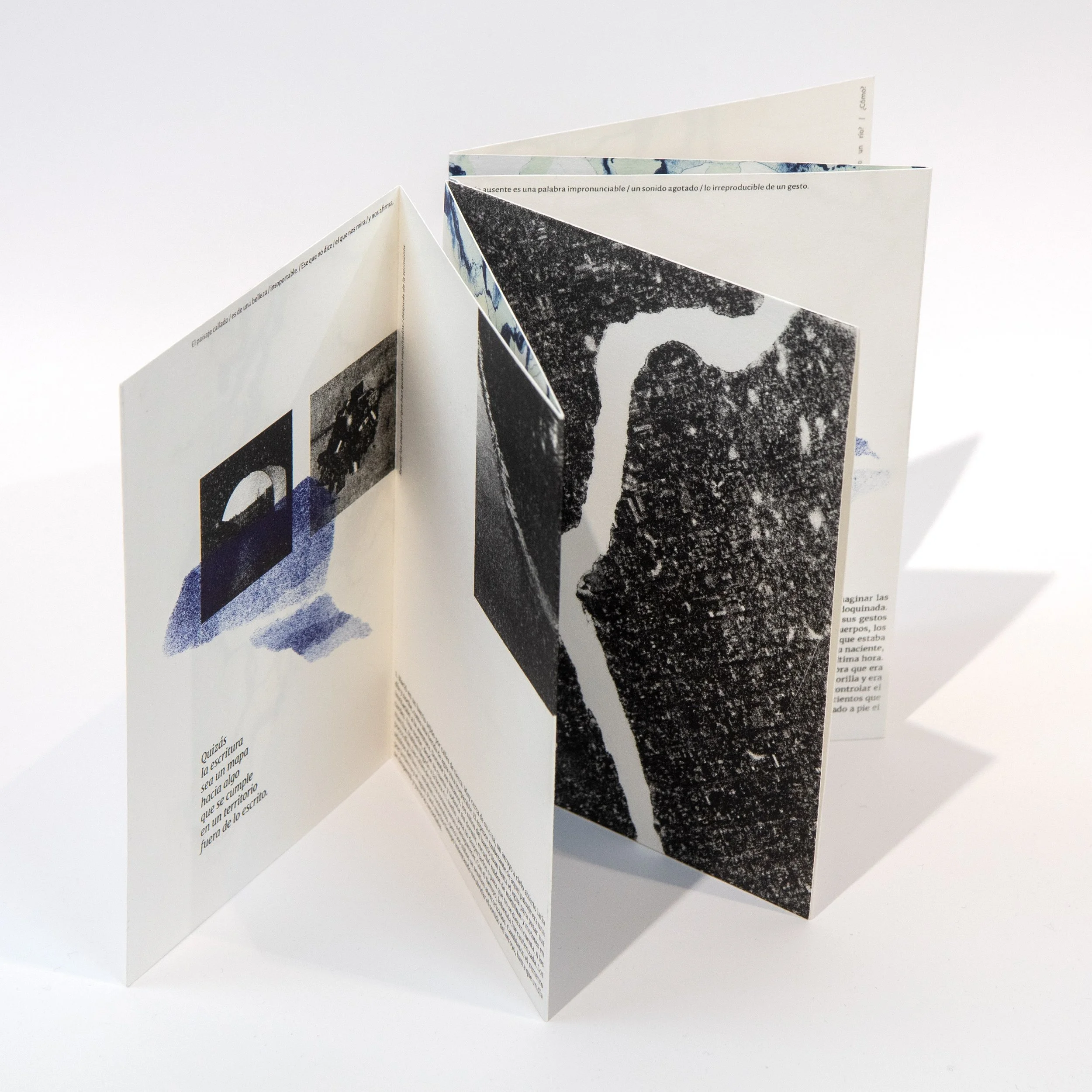 Garage Litho 71.jpeg