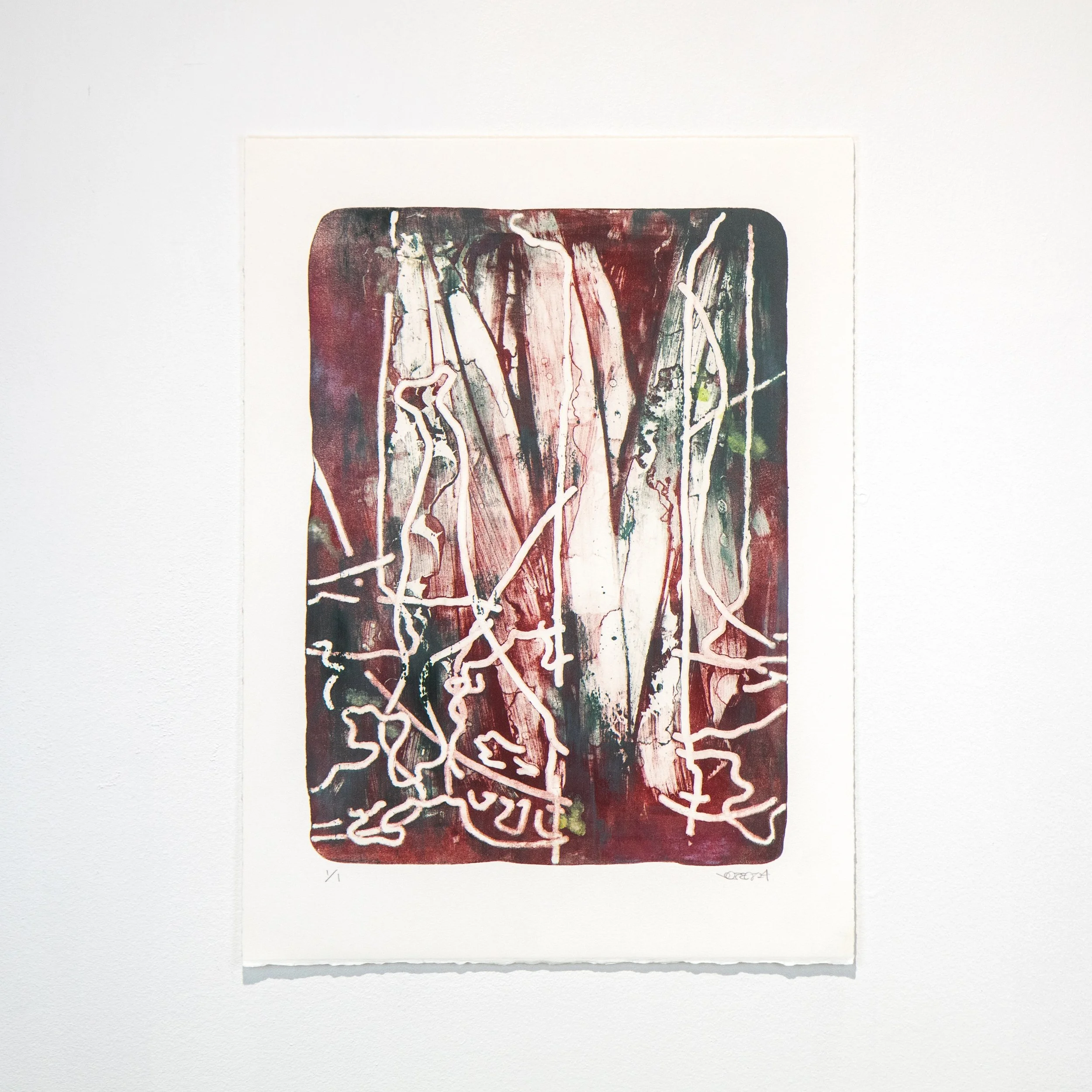 Garage Litho 31.jpeg