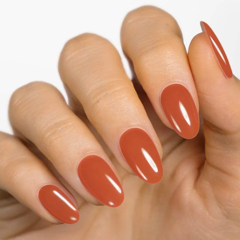 🍂 THE AUTUMN LEAVES