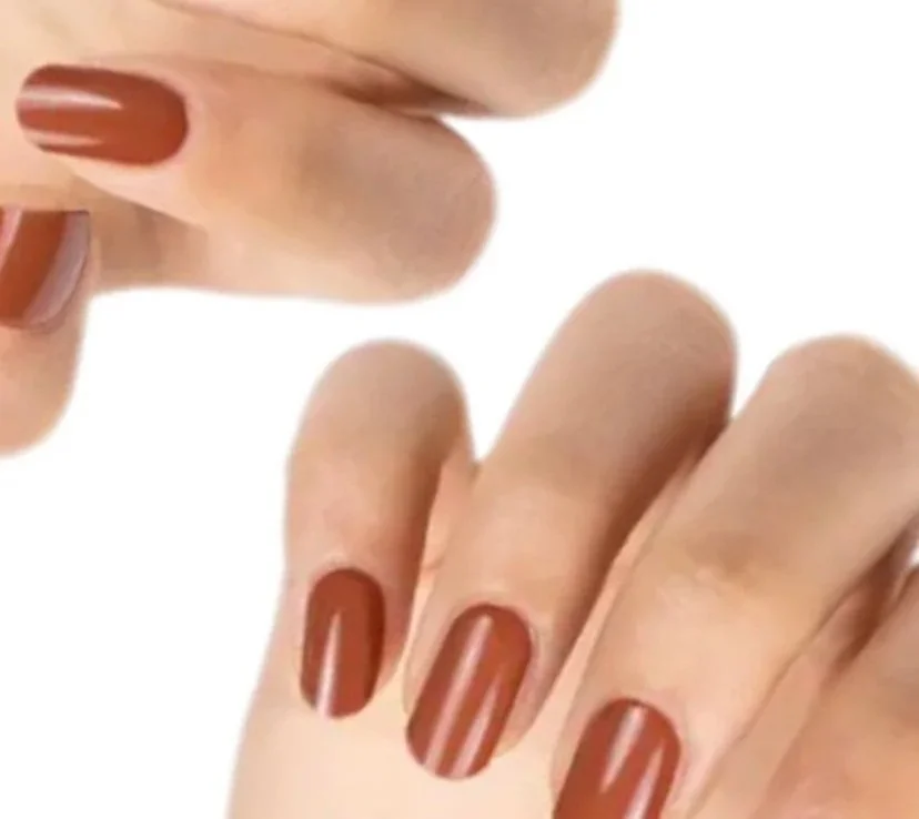 🍂 THE AUTUMN LEAVES