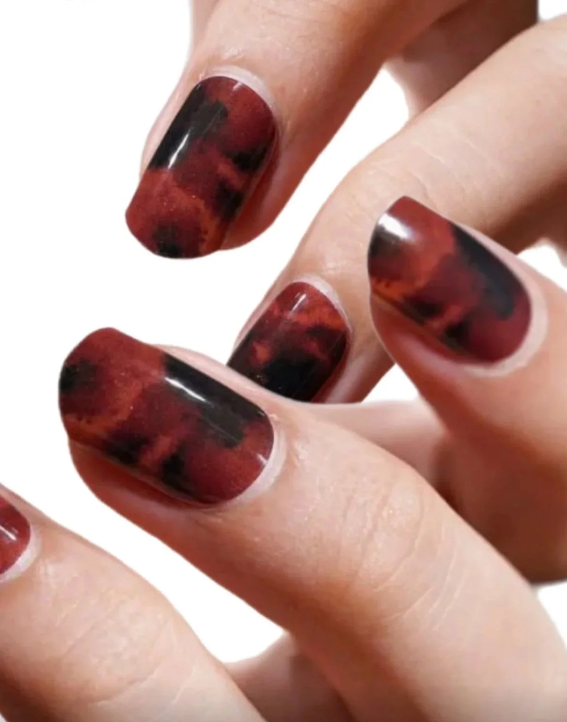 🌋 THE TURTOISES’ VOLCANO