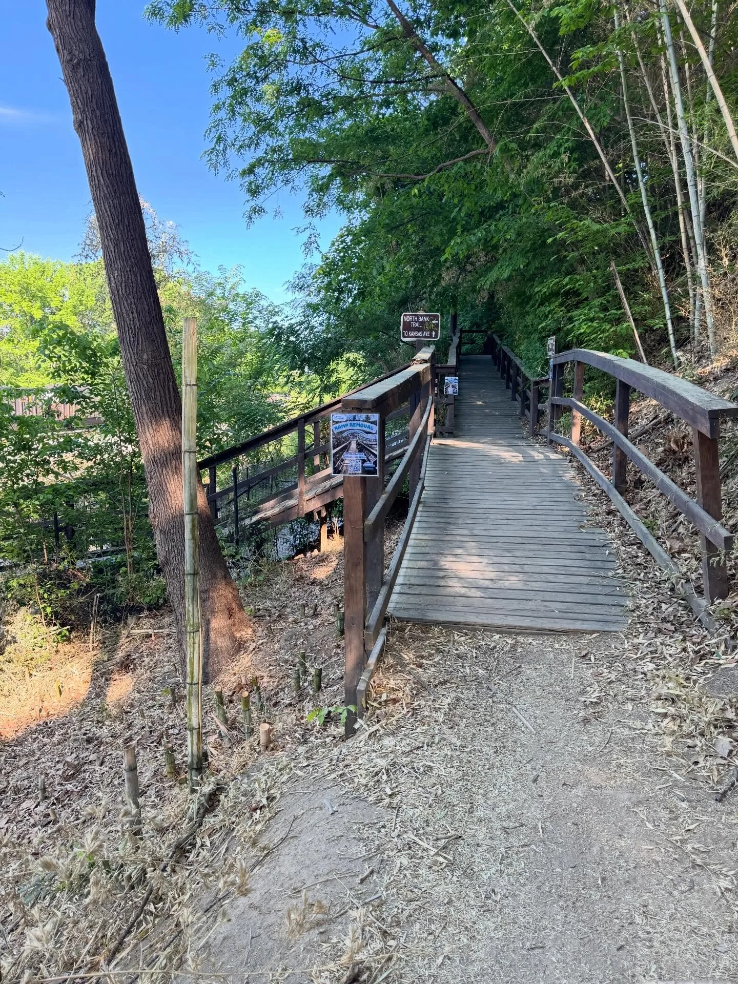 Signs are posted, spread word!

The lower ramp will be removed Saturday the 25th, a.k.a. NEXT Saturday. 

Enjoy your weekend trail time, we think you&rsquo;re gonna love the Trail Crew&rsquo;s new vision for this hillside.

Much like the Buttermilk R