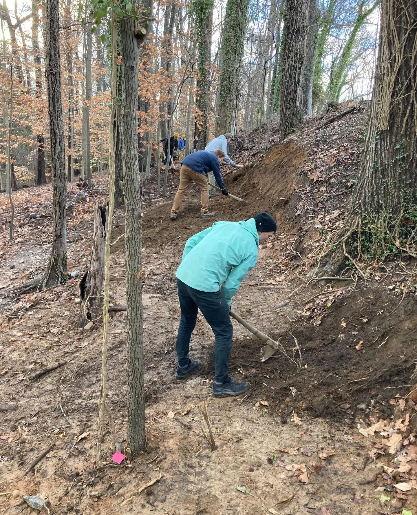 Group of volunteers doing trail work