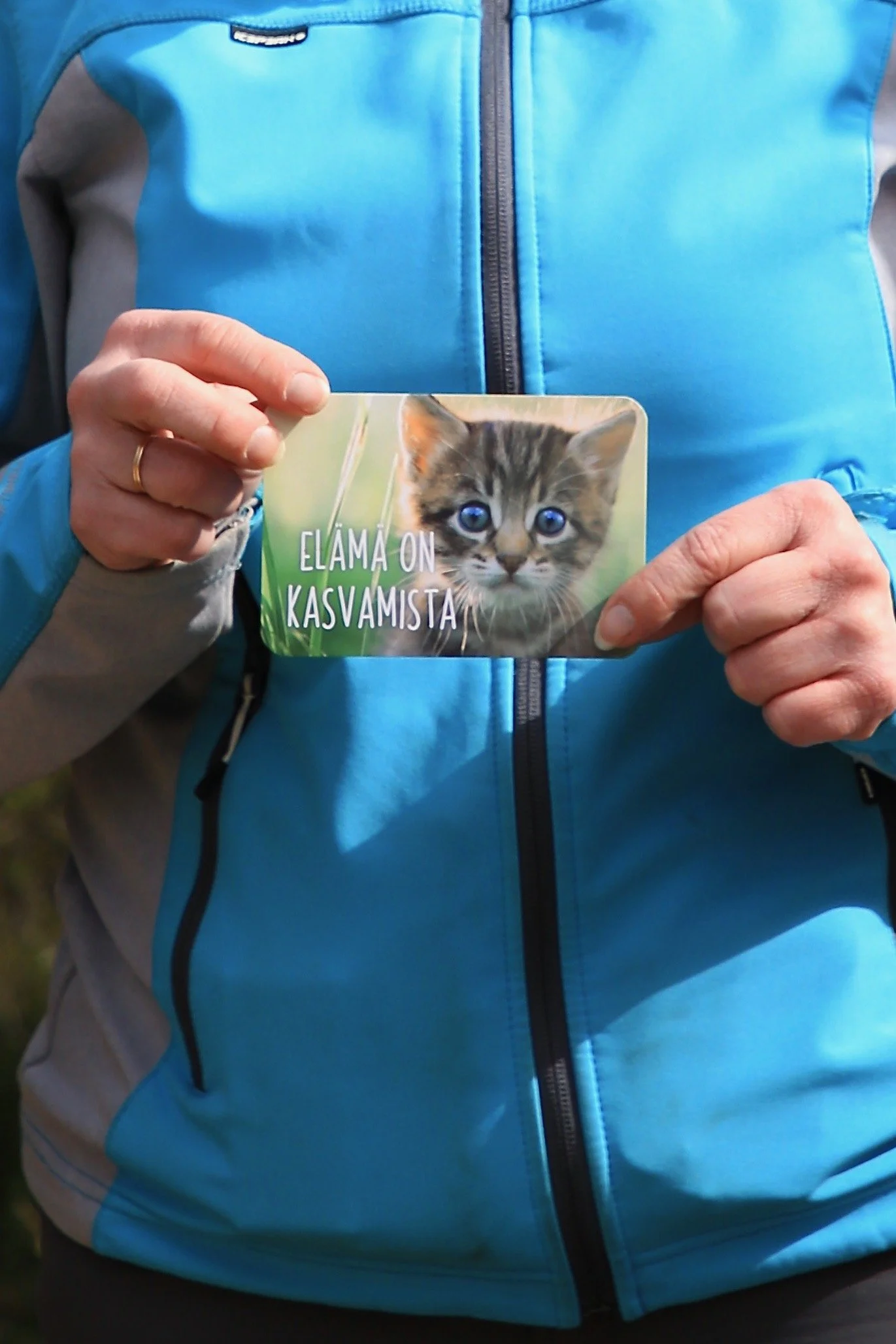 Hyvinvoinnin eväsreppu