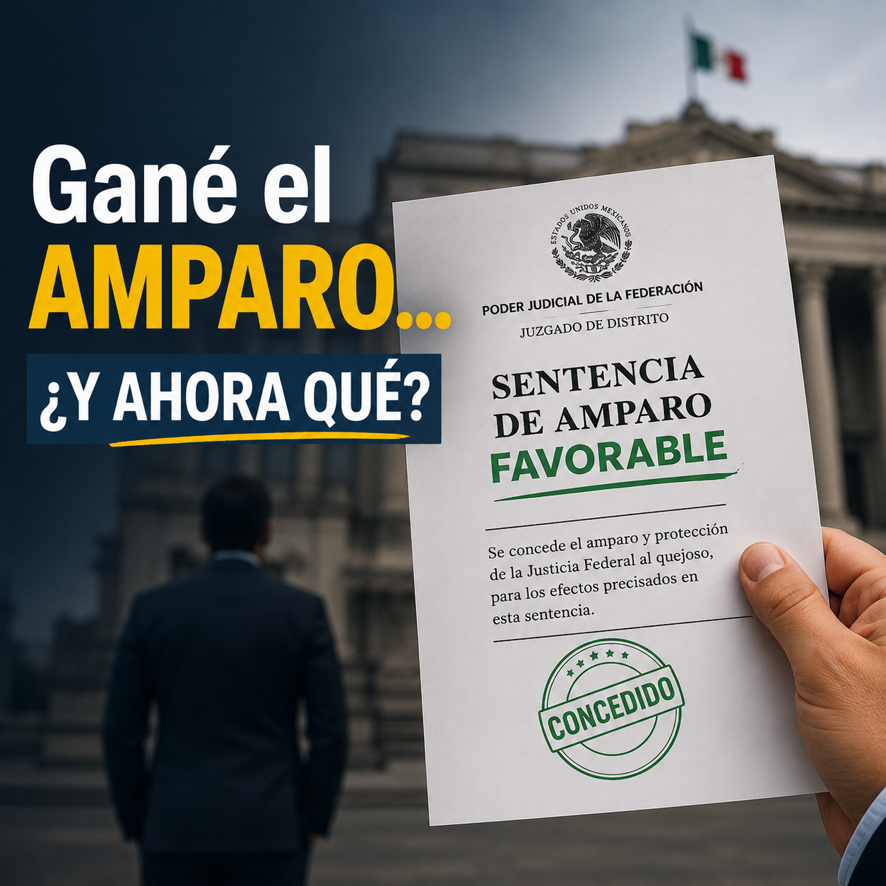 Gané el amparo. ¿Y ahora qué?