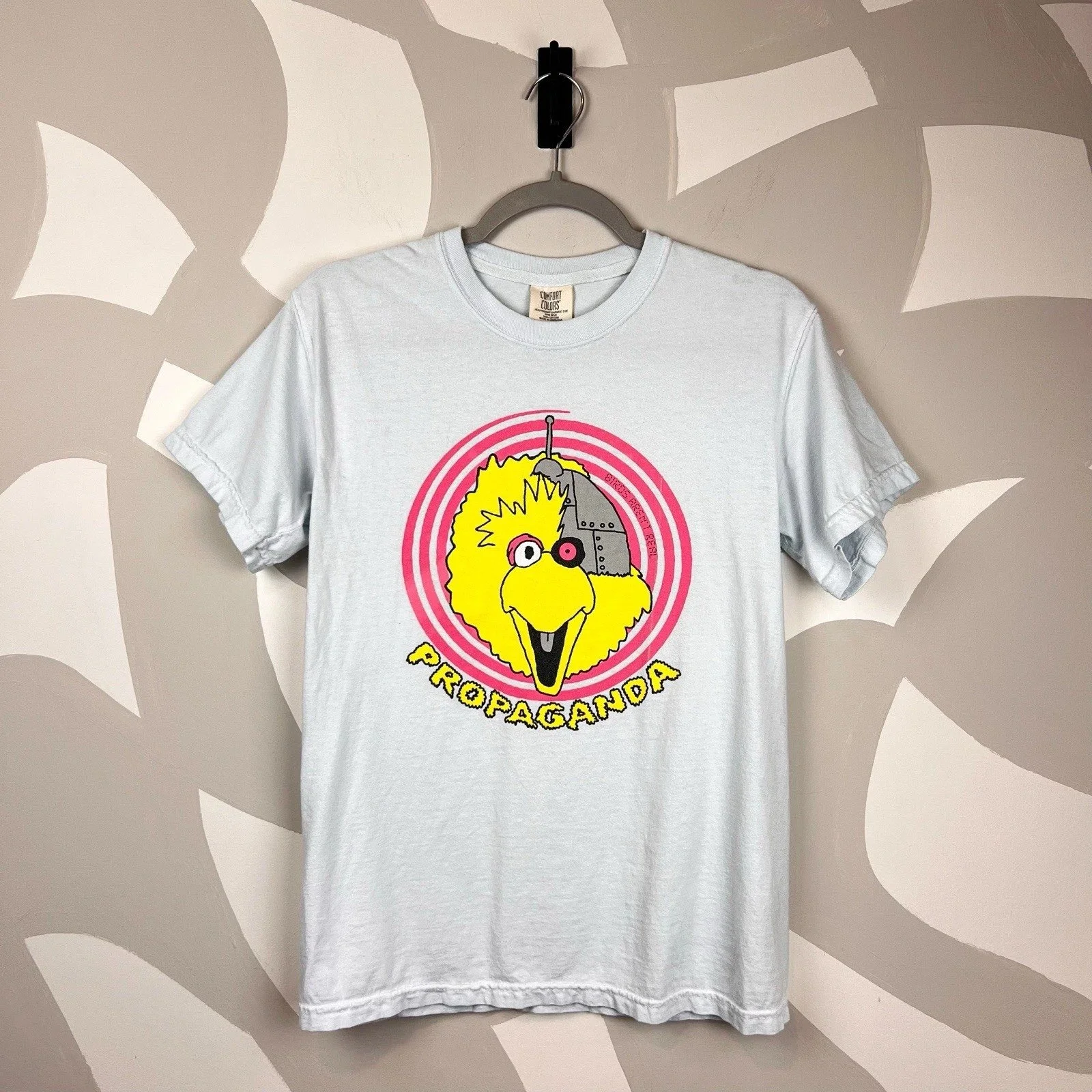 Comfort Colors Big Bird Propaganda Birds Aren't Real T-Shirt | S