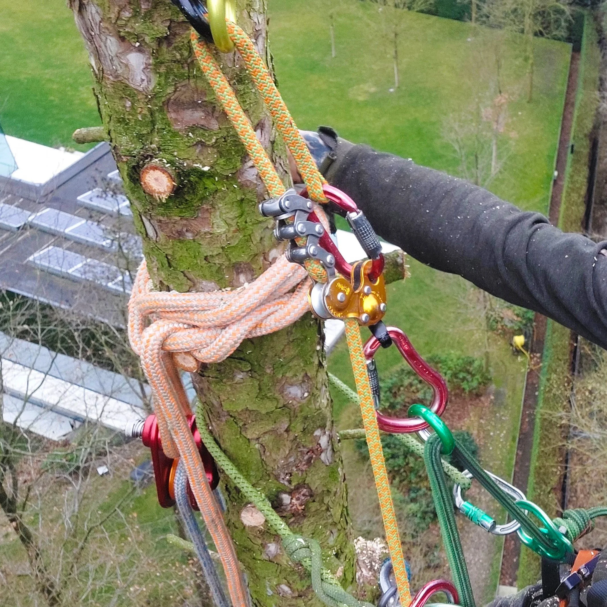 Specialistisch Klimwerk