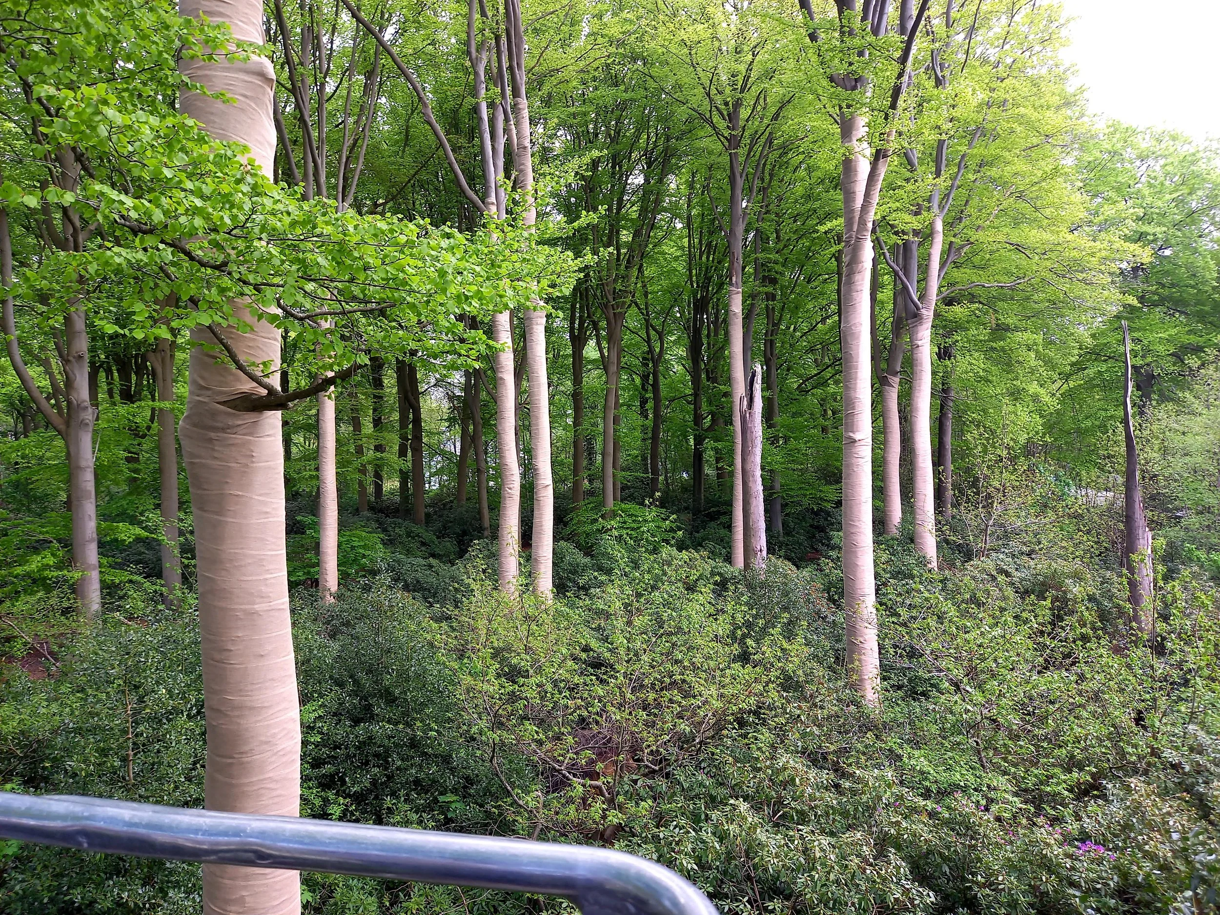 Bos- & Landschapsbeheer