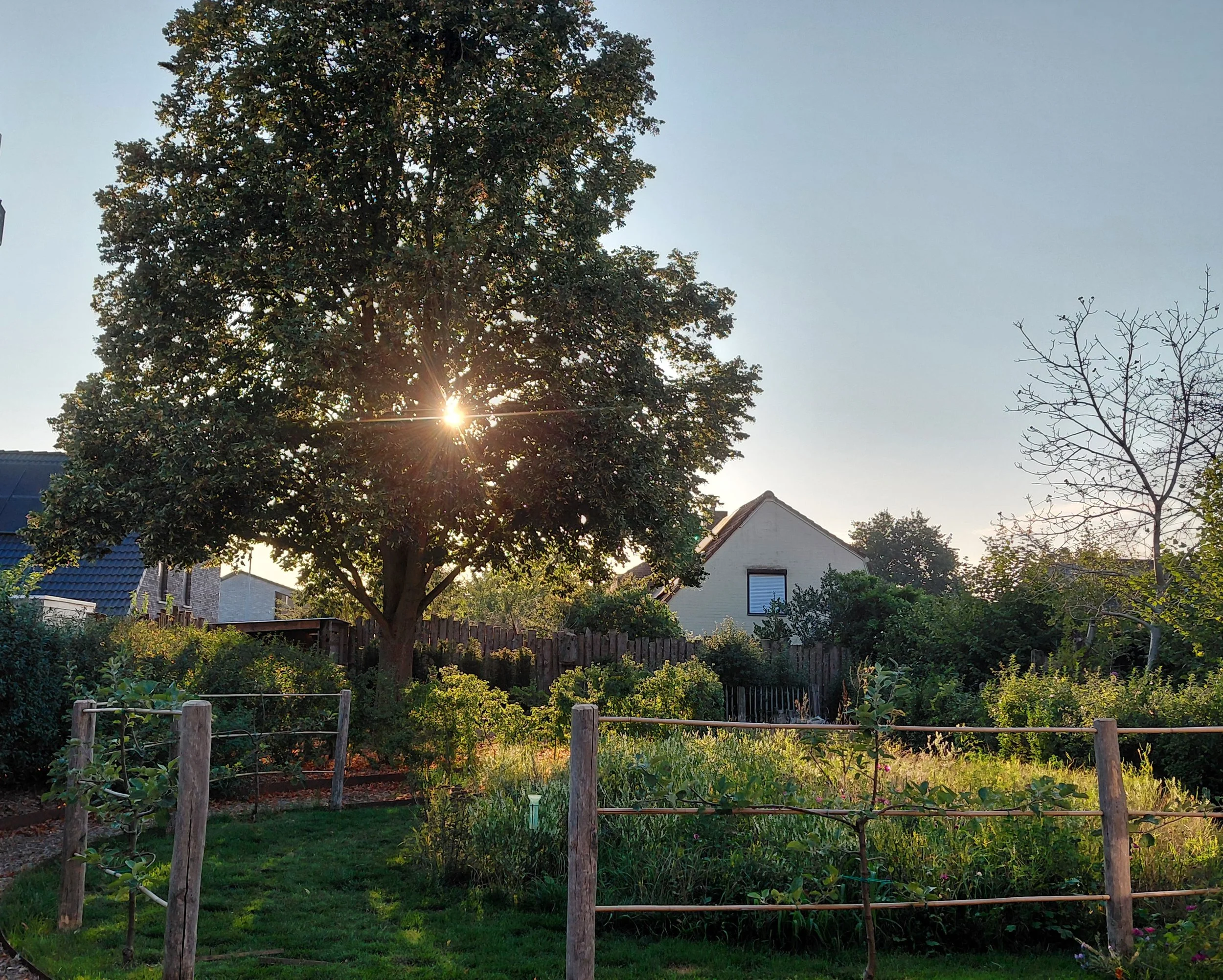 Aanleg Duurzame Tuin