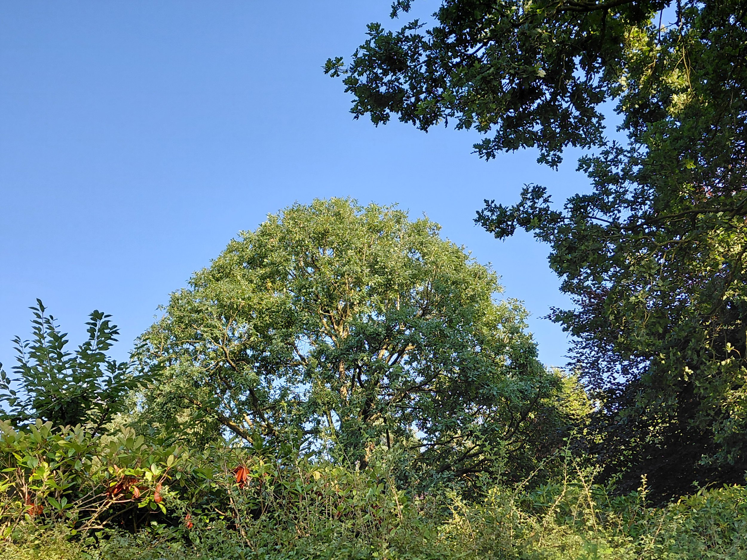 20250818_174241.jpg