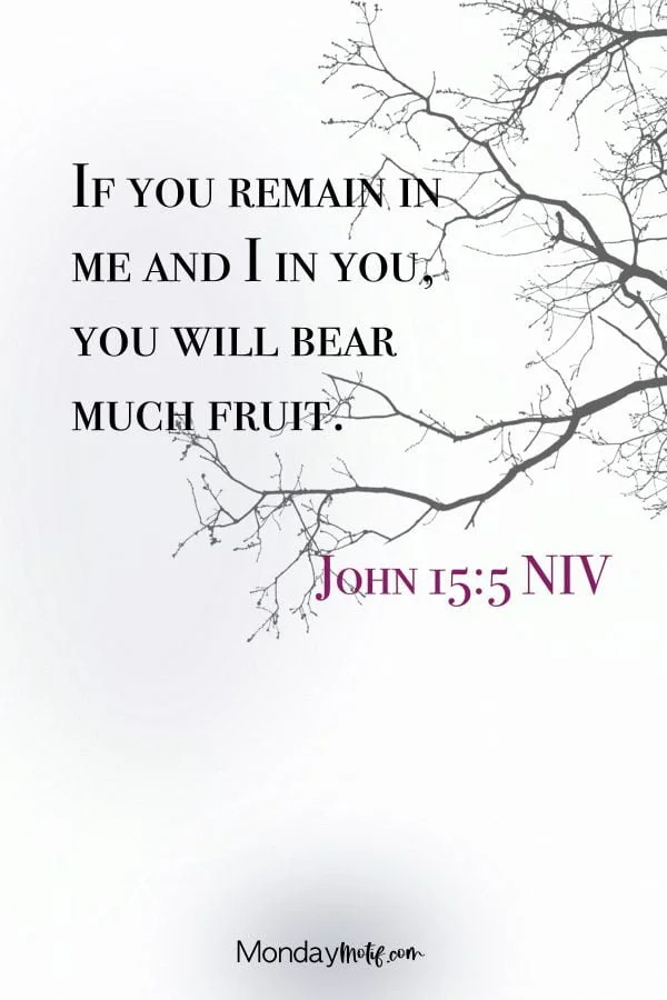 Rooted in Christ - Growing In Glory