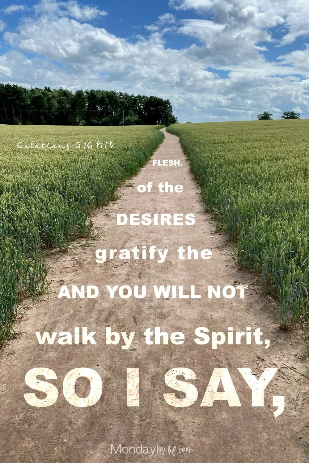 How Can I Tell If I'm Really Walking With God?