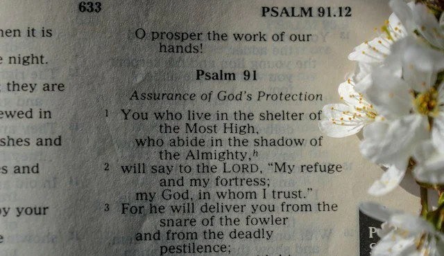 Psalms 91: God's Shelter For You