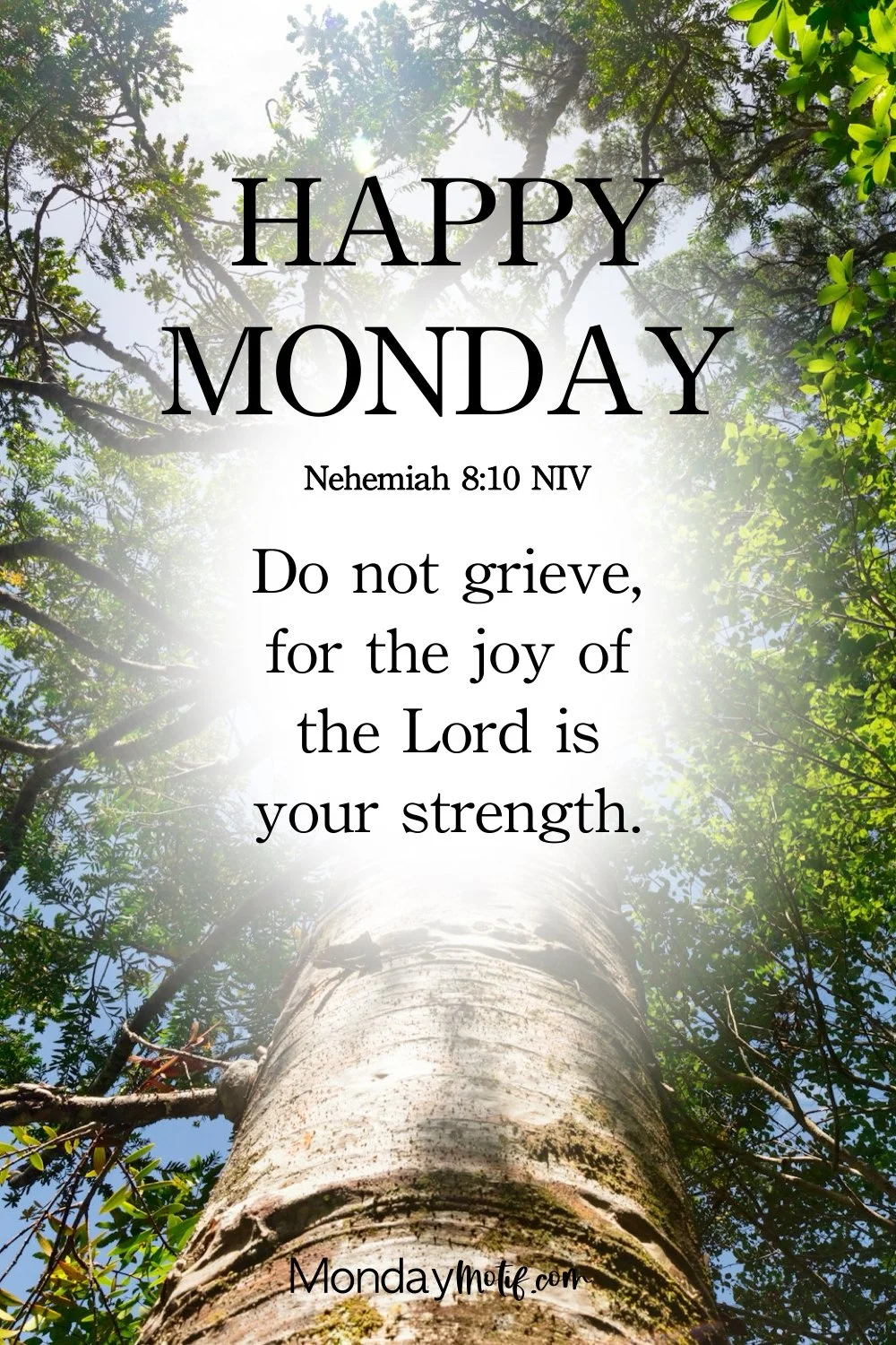 Happy Monday Scriptures with Tree aesthetic