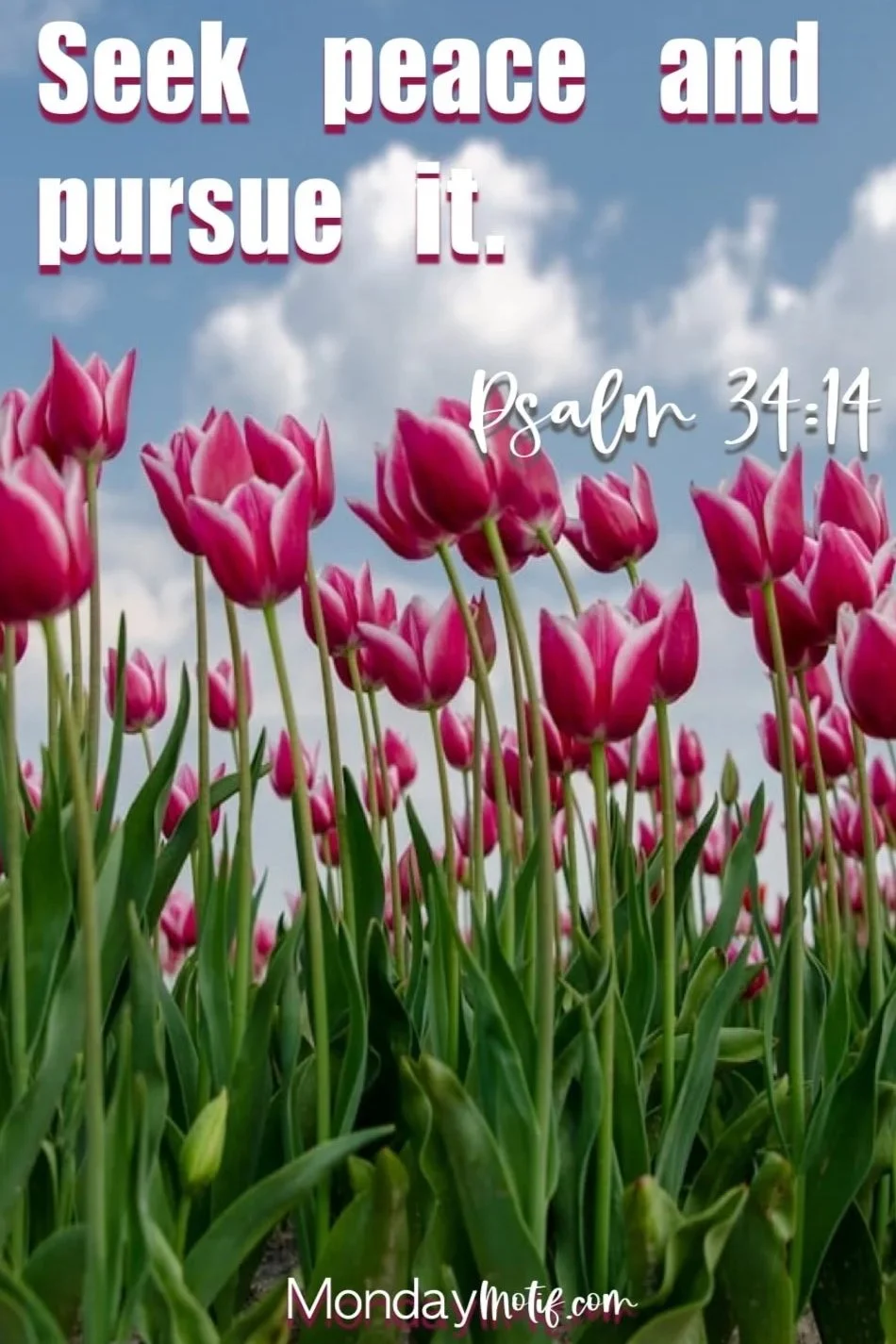 psalm 34 Bible study on peace