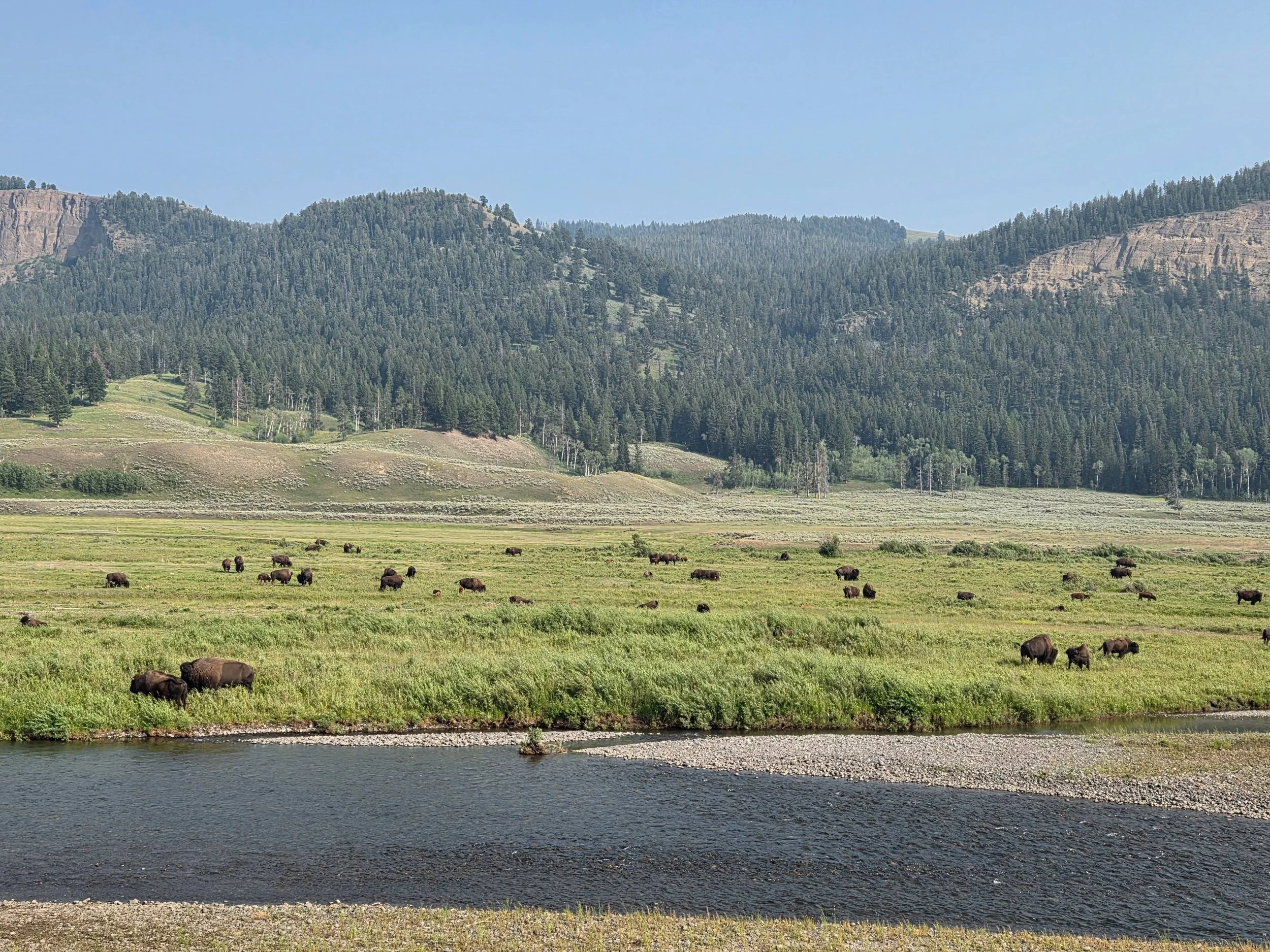 Yellowstone-64.jpg