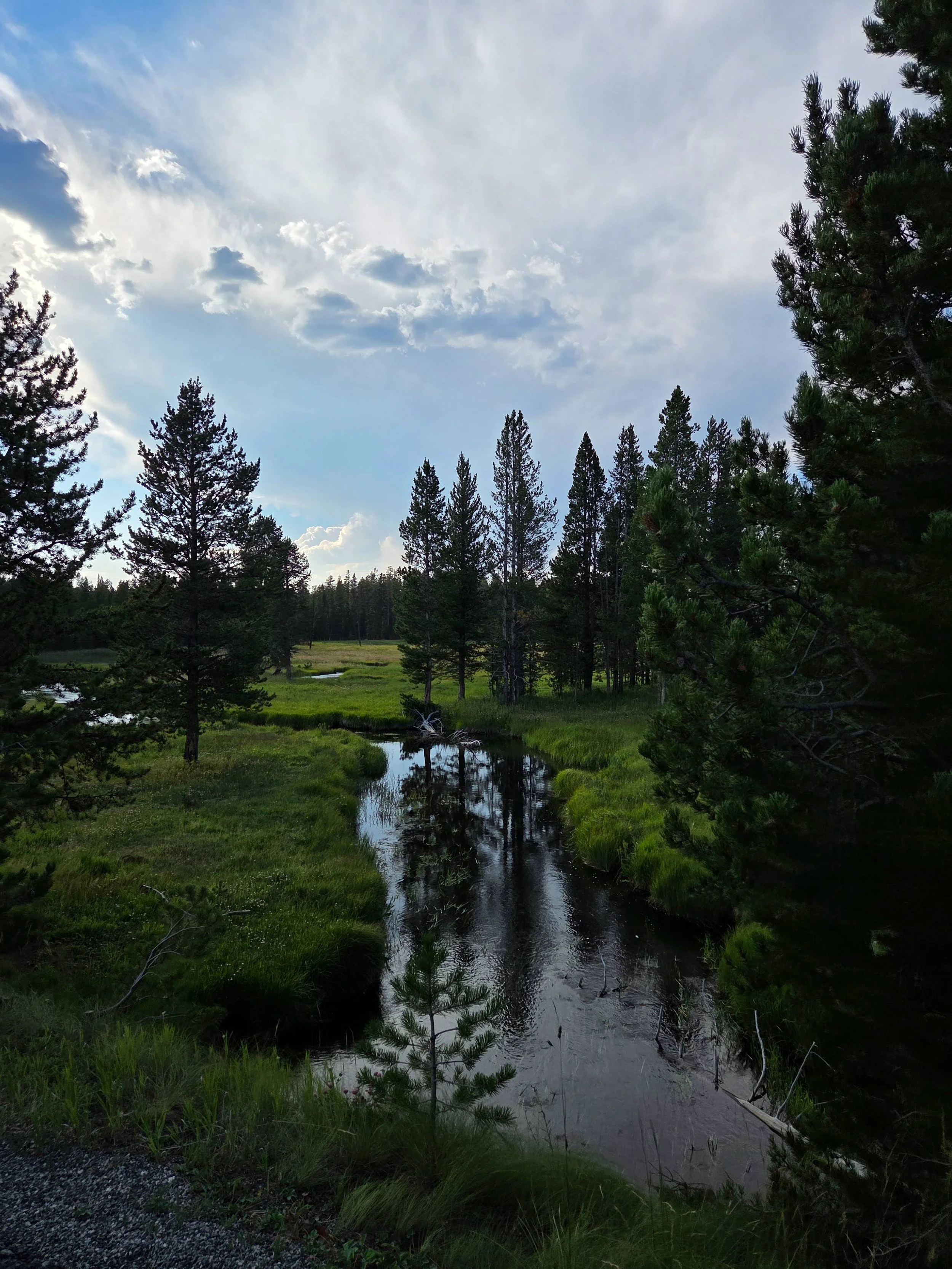 Yellowstone-30.jpg