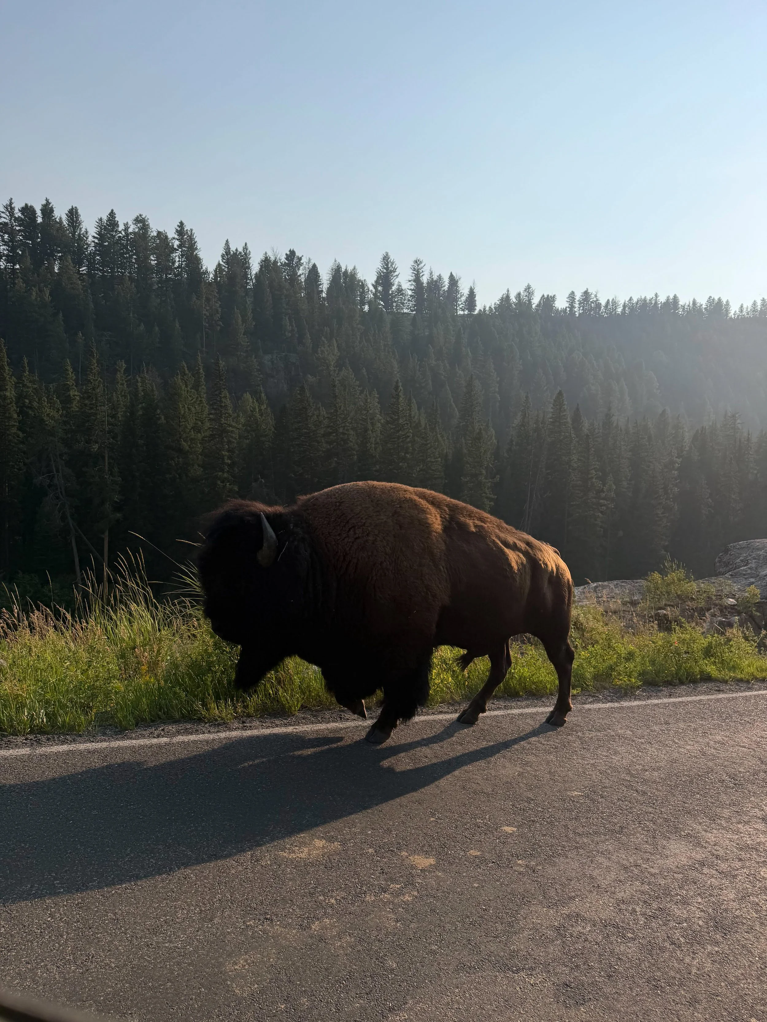 Yellowstone-66.jpg