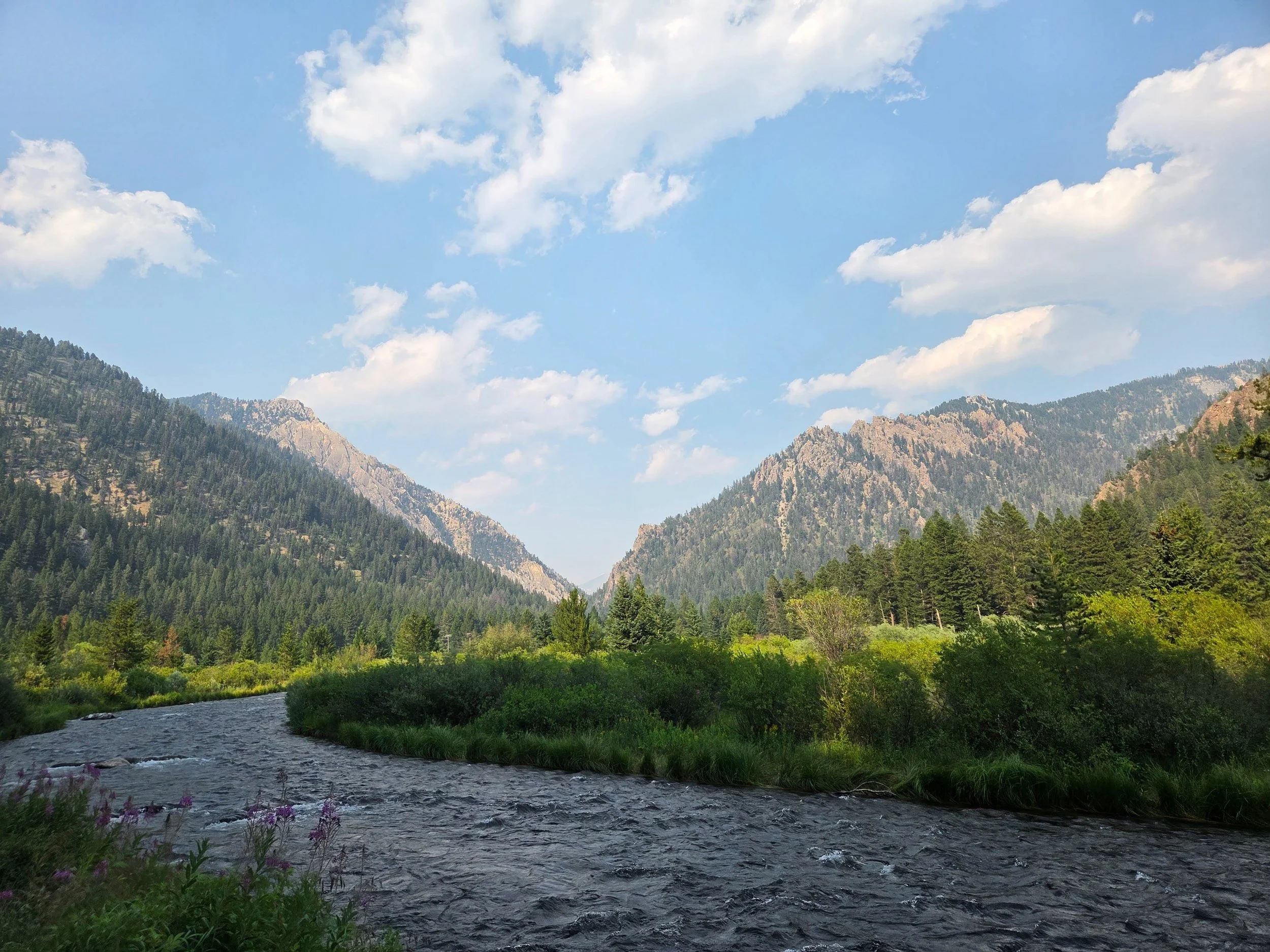 Yellowstone-51.jpg