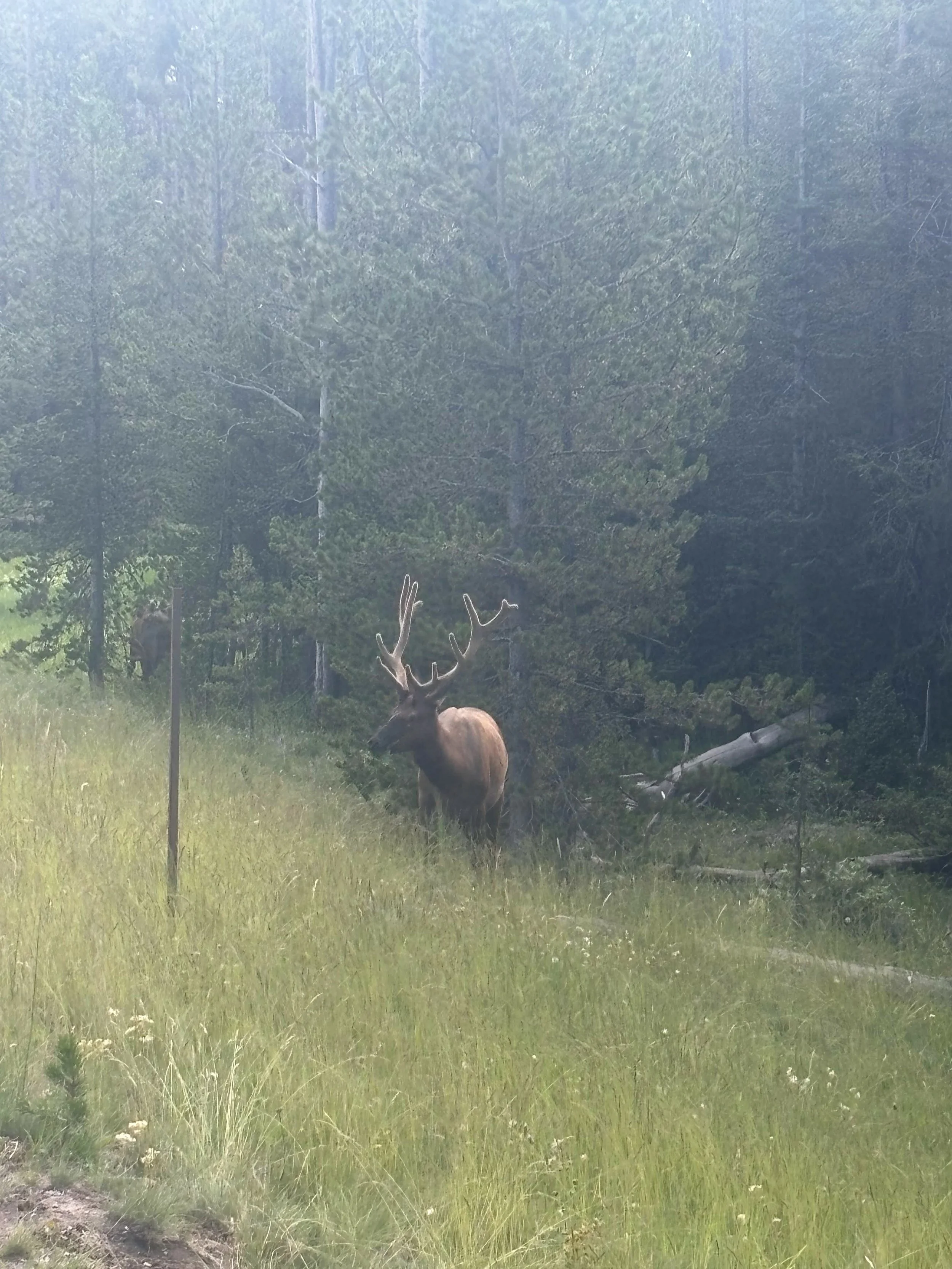 Yellowstone-27.jpg