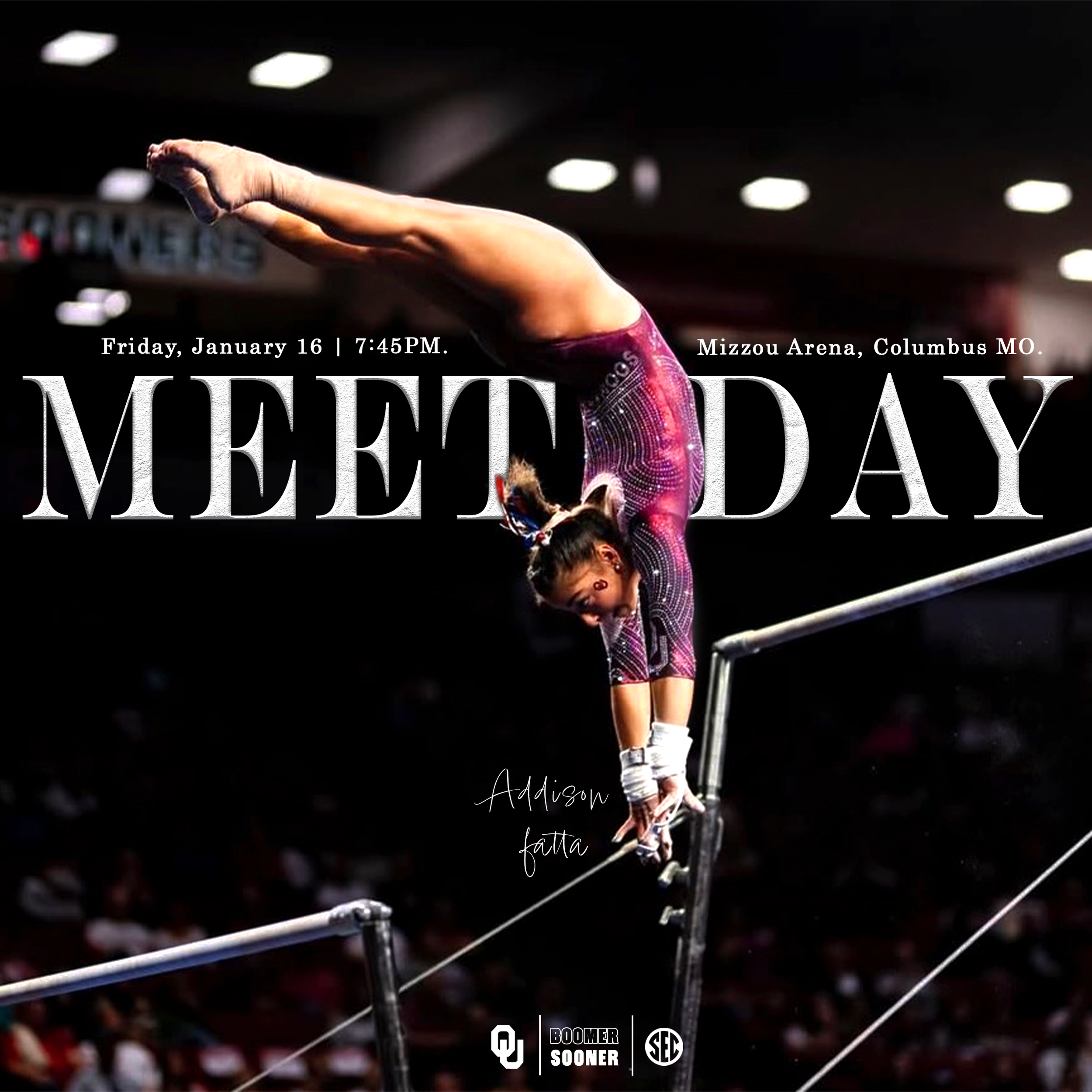 The Collegiate Gymnastics Collective