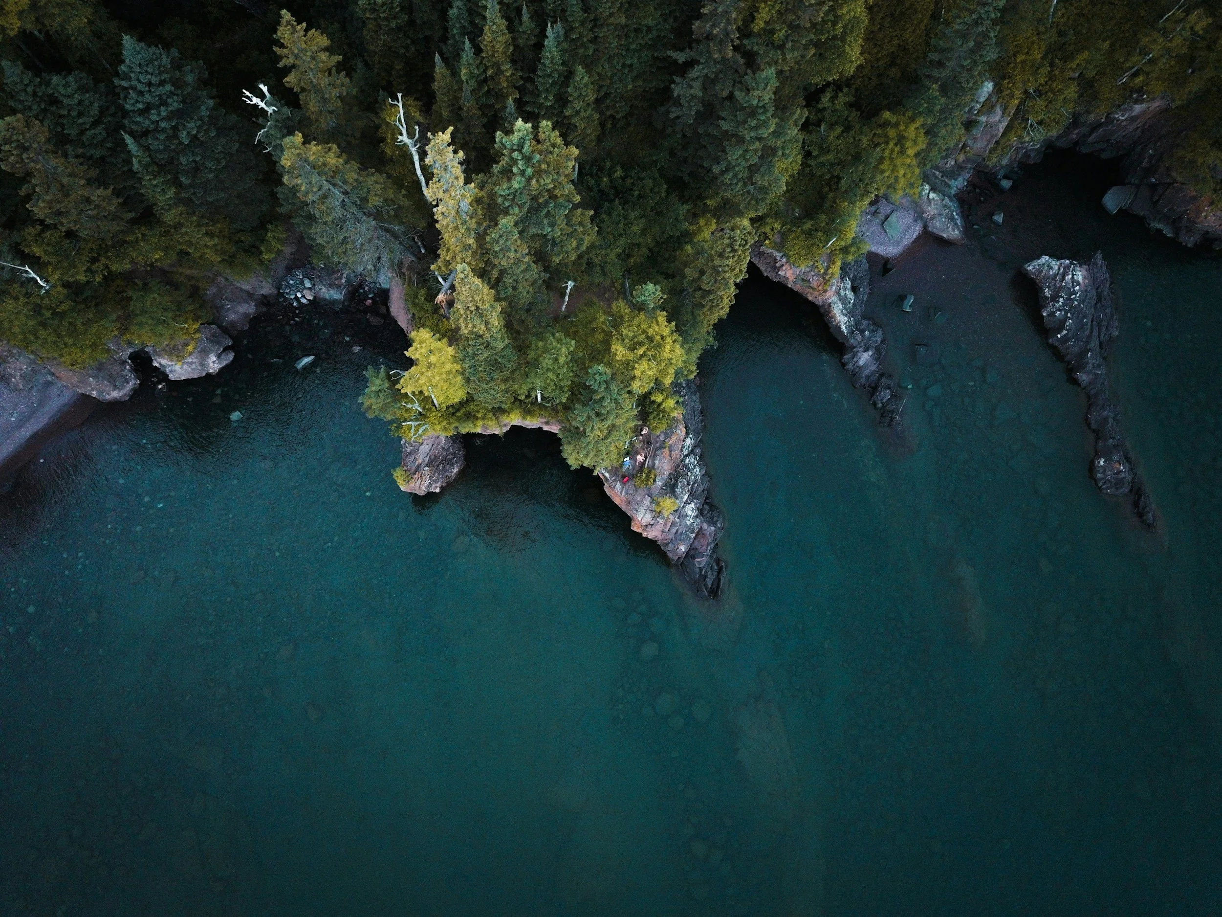 Aerial view of a forested coastal area with rocks and clear blue water.