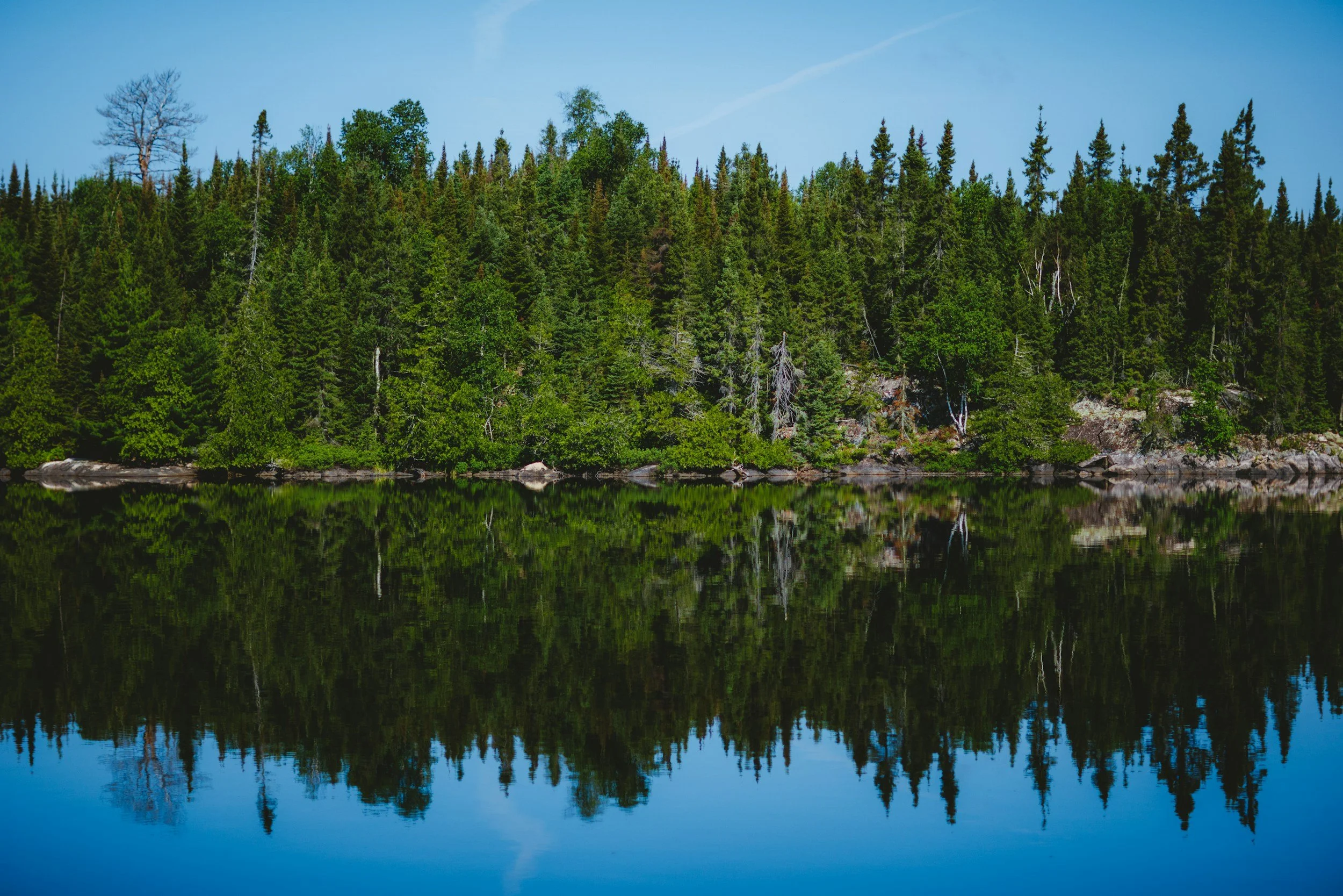 A calm lake reflecting a dense green forested shoreline under a blue sky.