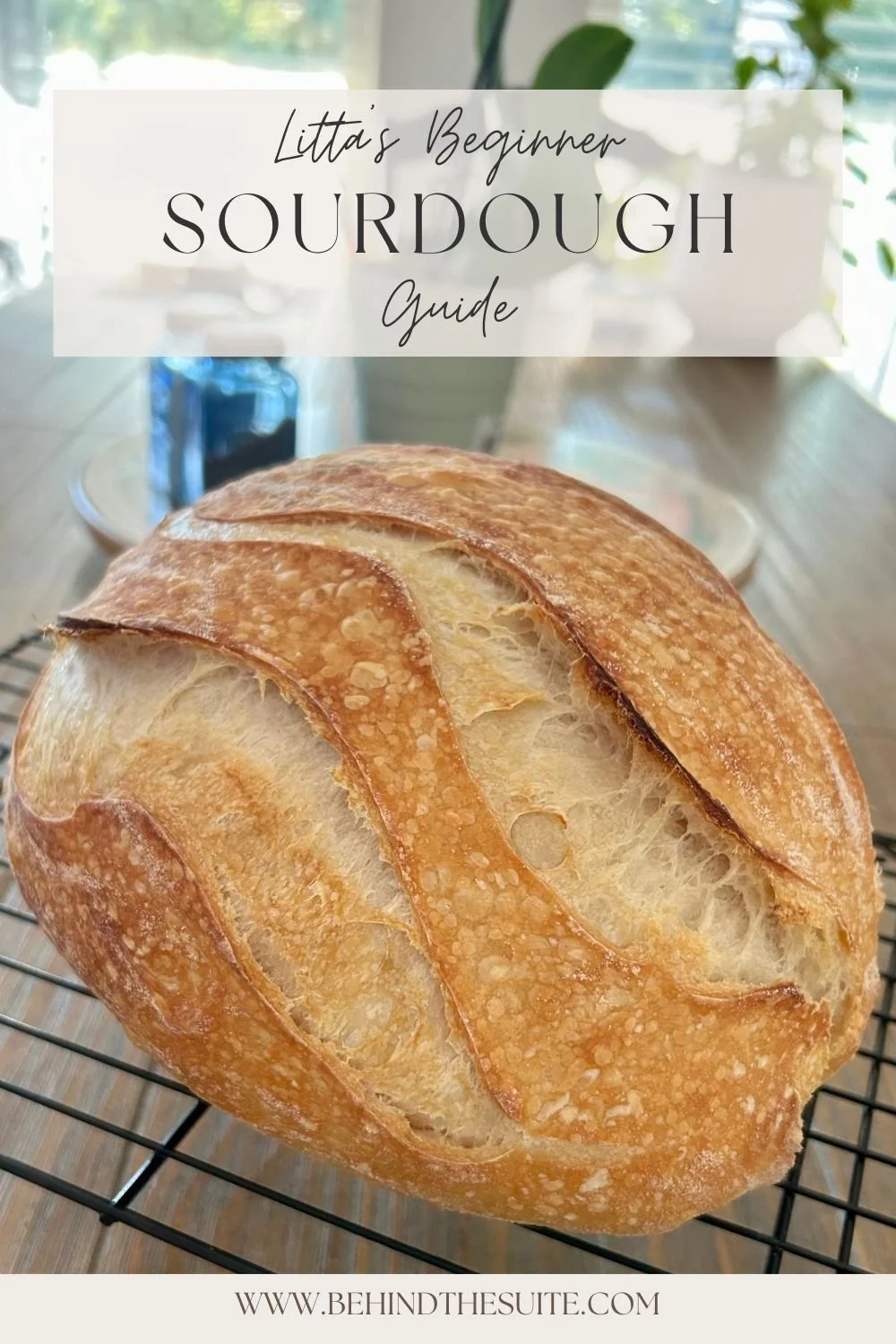 Litta’s Beginner Sourdough Guide