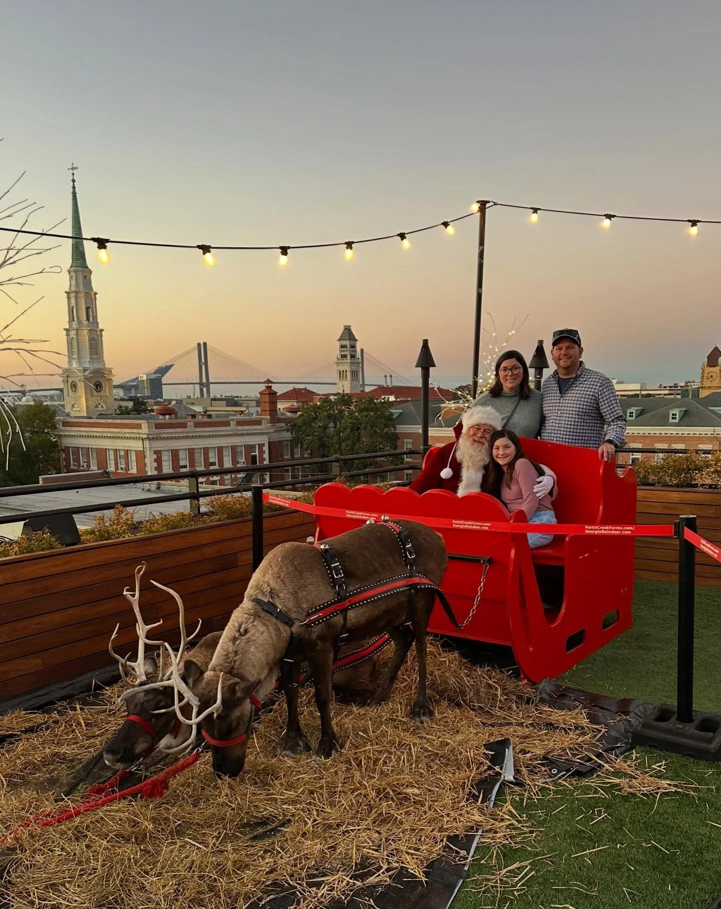 Christmas in Savannah! 🎅🏼🎄