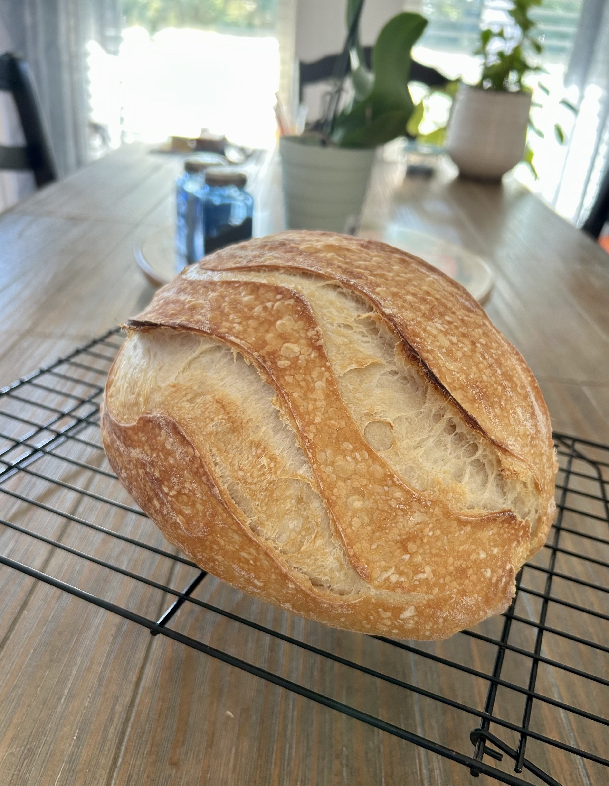 sourdough.jpg