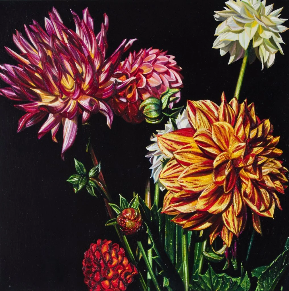 Blumenmalerei von Lars Reiffers mit roten, gelben und weißen Dahlien vor schwarzem Hintergrund.