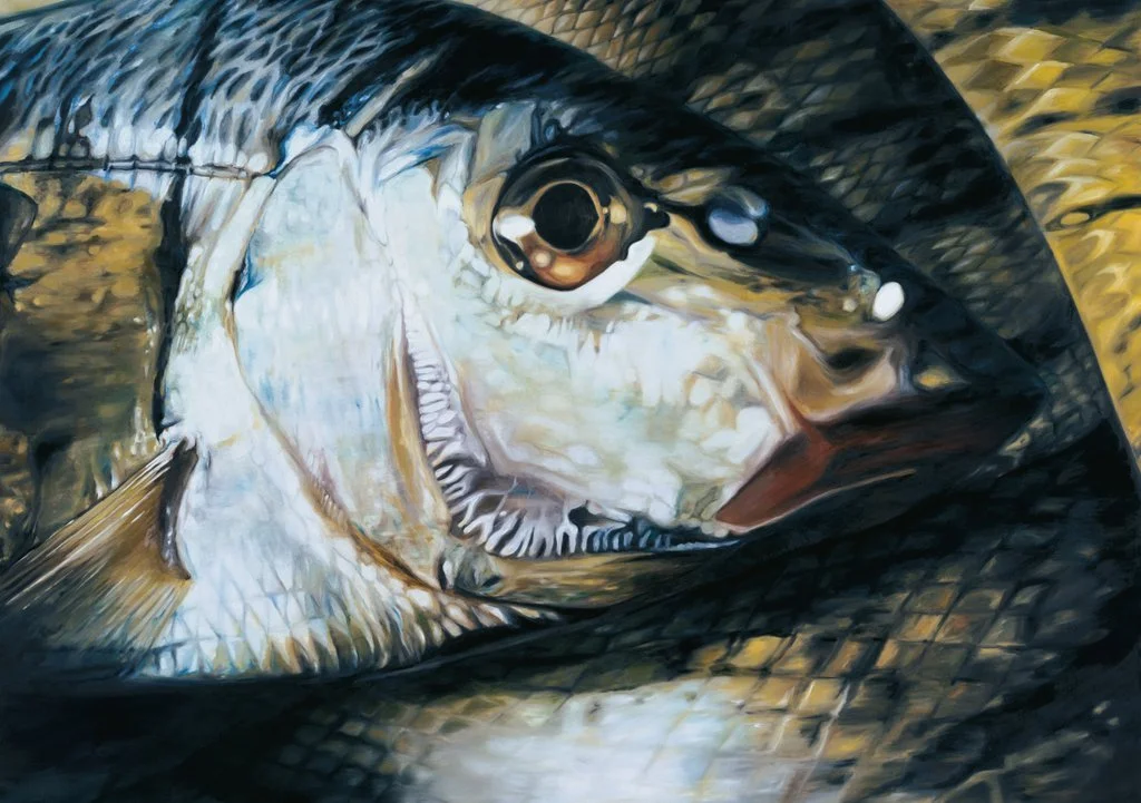 FISH