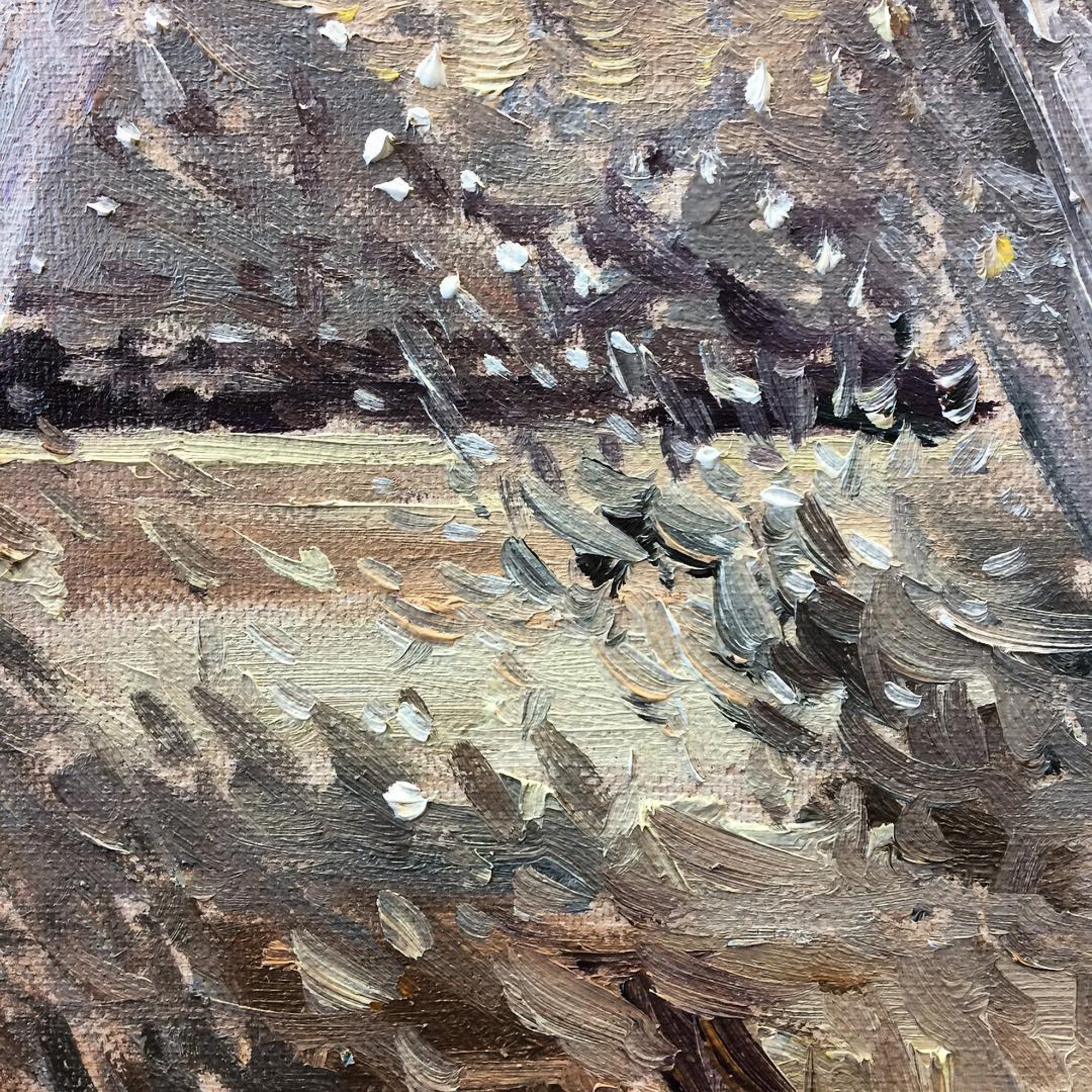 46412205_359572937924944_4671125400939159172_n_17846659660315808.jpg