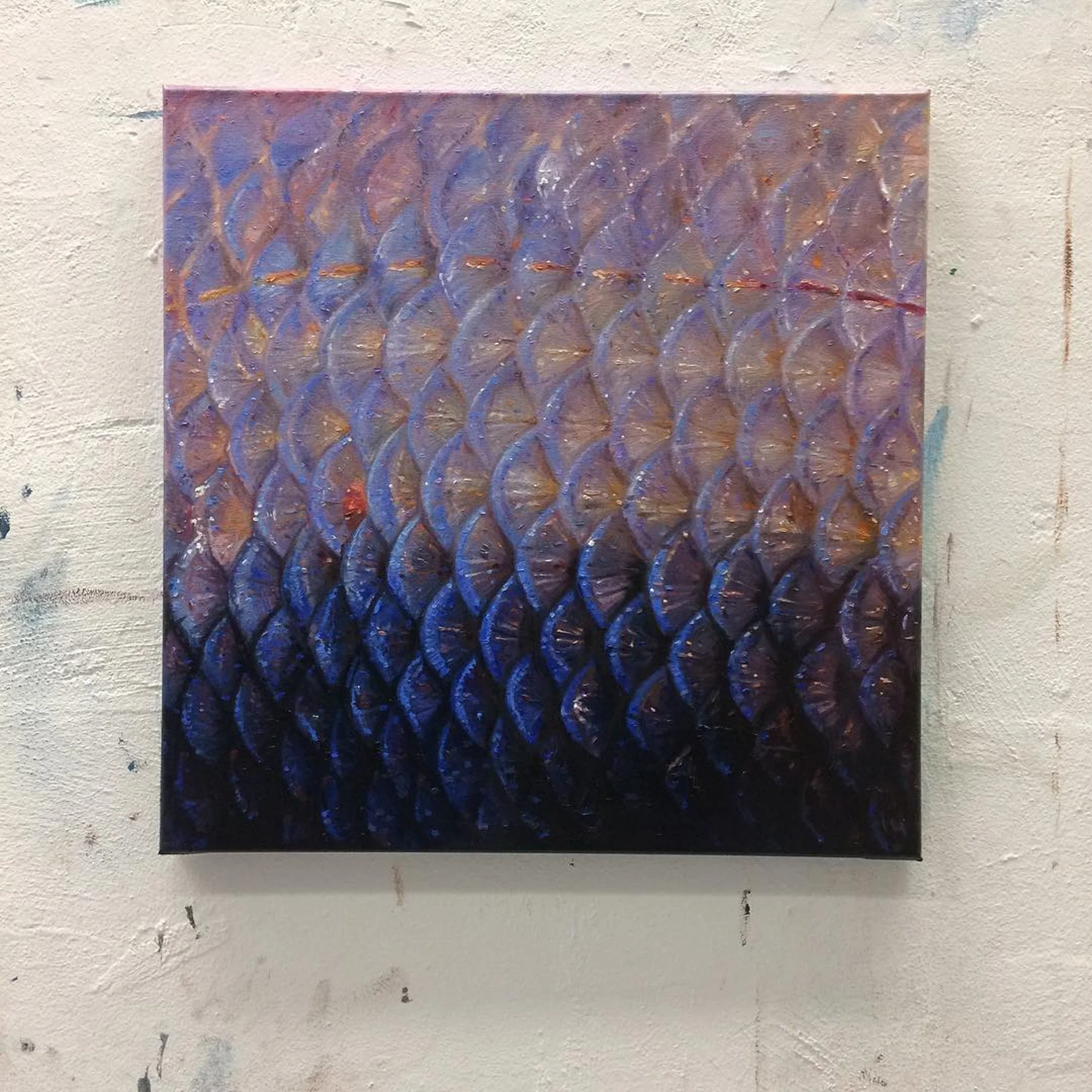 16463931_726983264124477_7558176593009442816_n_17859623452120816.jpg