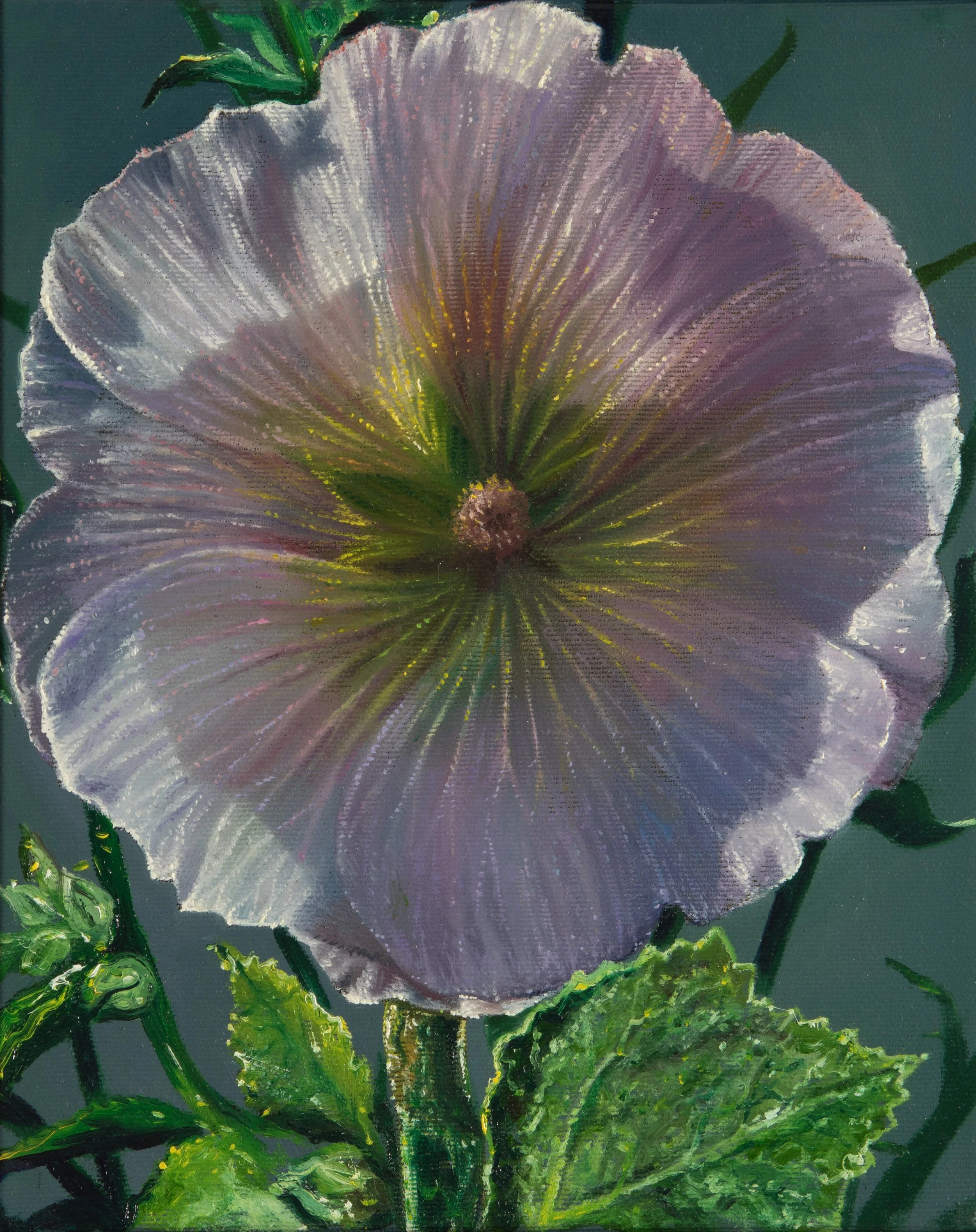 Alcea 30x24 cm Öl auf Nessel